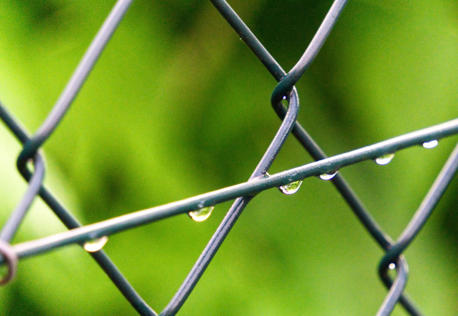 Sony a6000 sample photo. Fence, drop of water photography