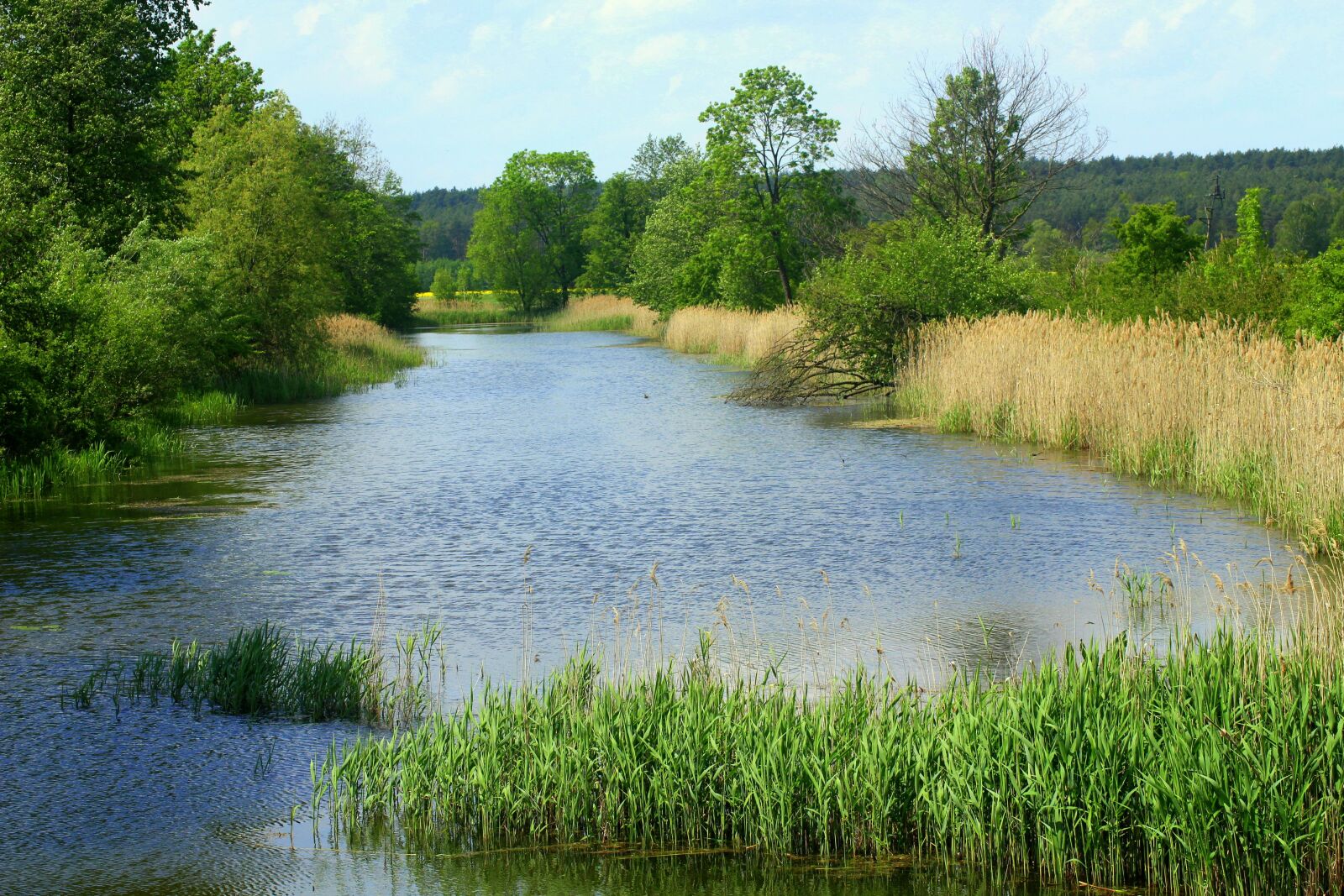 Canon EOS 1200D (EOS Rebel T5 / EOS Kiss X70 / EOS Hi) sample photo. Pond, water, landscape photography