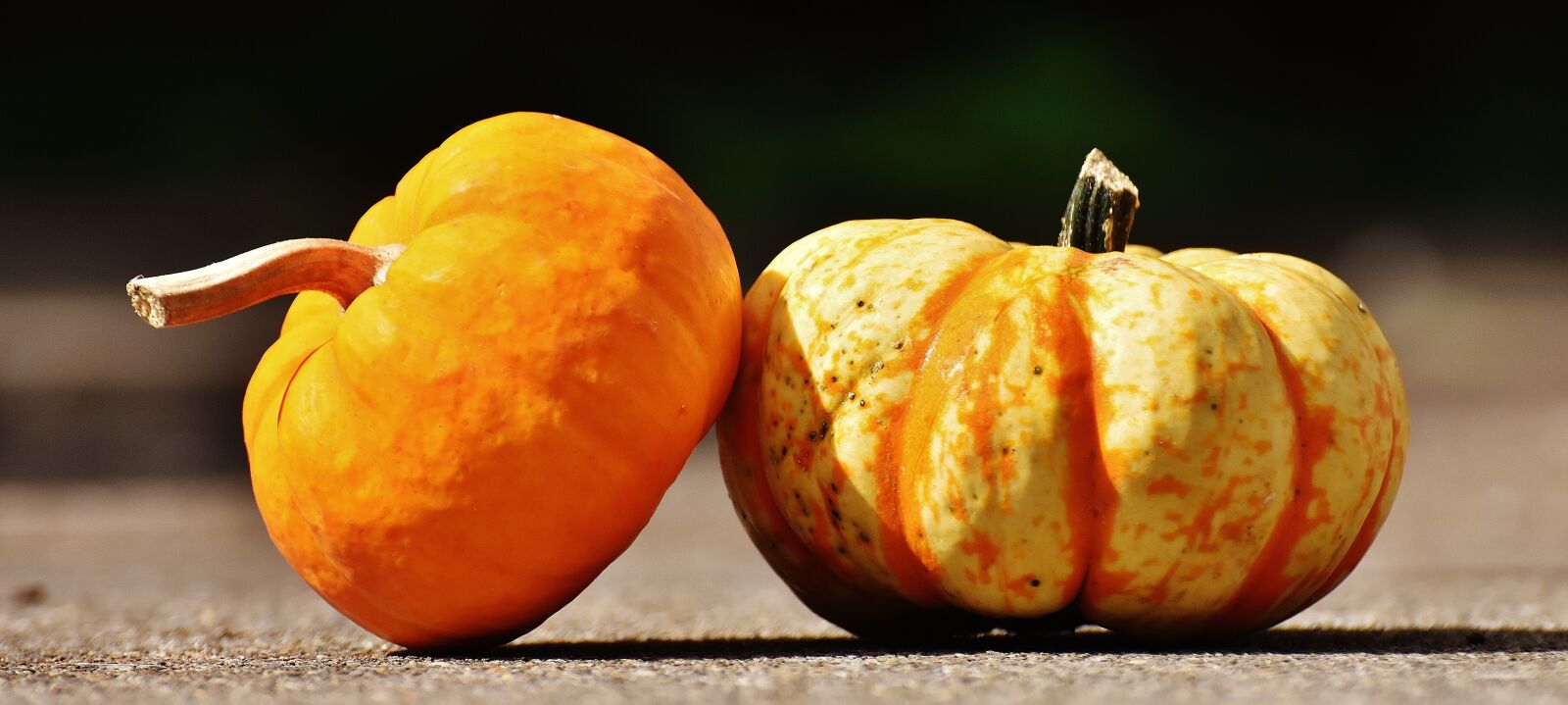 Nikon D7200 sample photo. Pumpkins, decorative squashes, nature photography