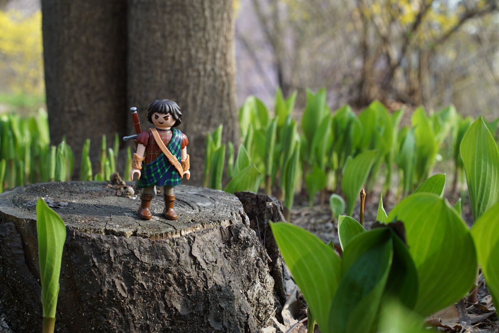 Sony a7S + Sony Sonnar T* FE 55mm F1.8 ZA sample photo. Playmobil, forest, the highlander photography