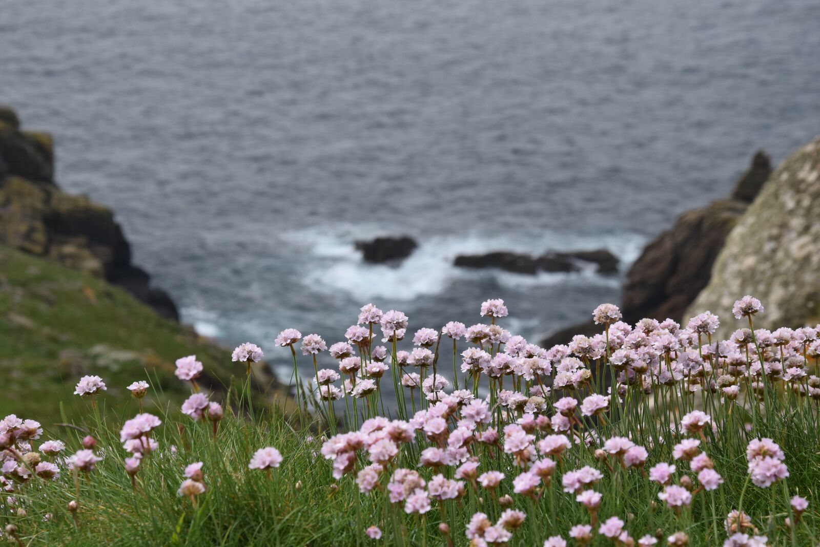 Nikon D5300 sample photo. Landscape, holidays, sea photography