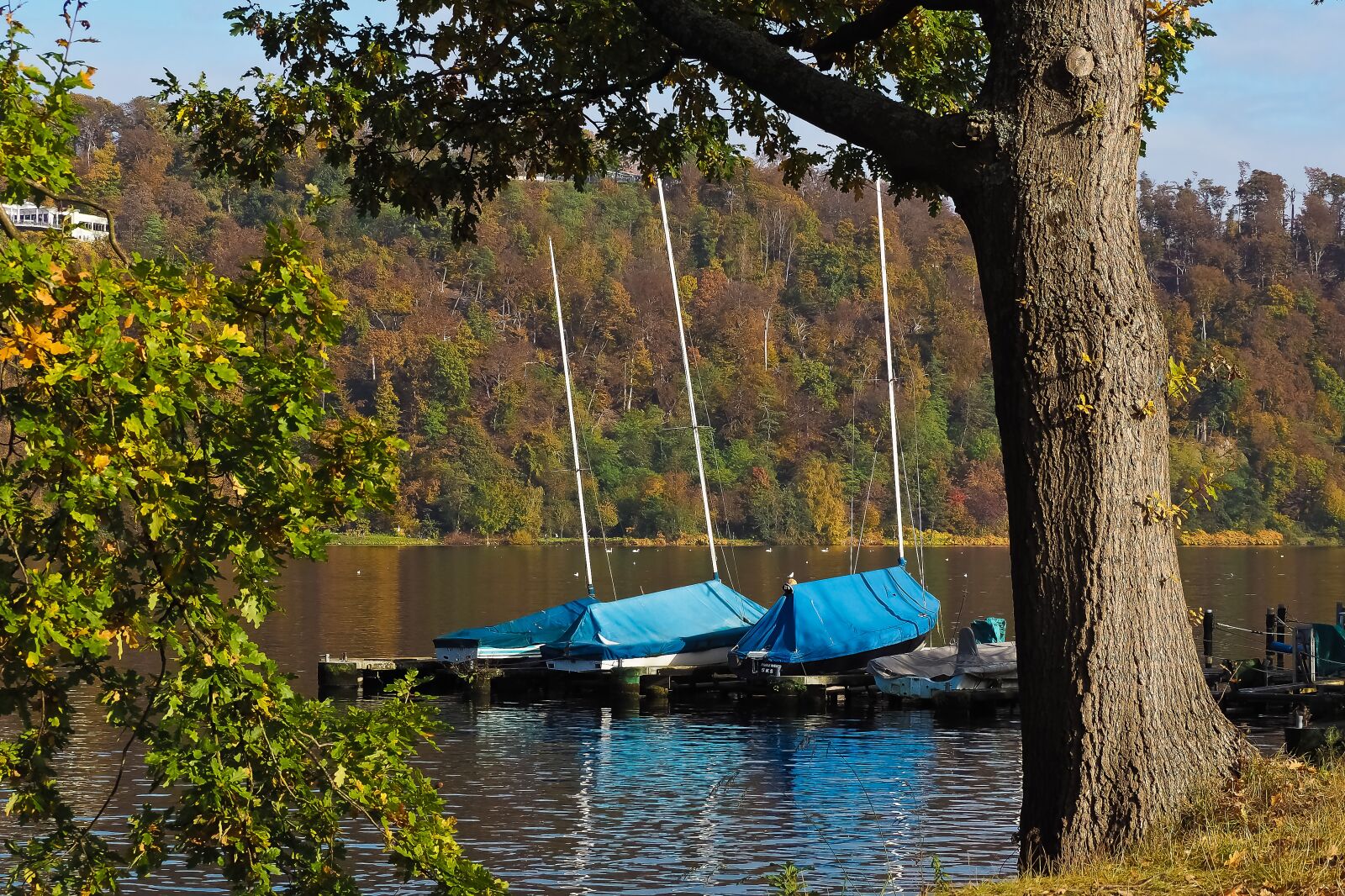 Olympus OM-D E-M10 sample photo. Lake, autumn, nature photography