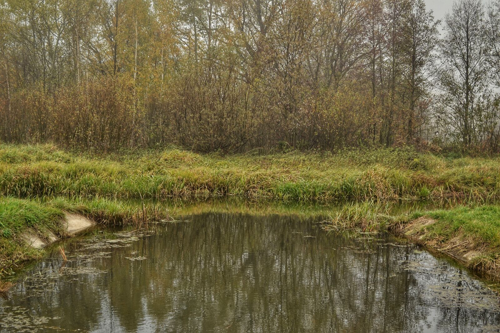 Nikon D3100 sample photo. Lake, water, bay photography