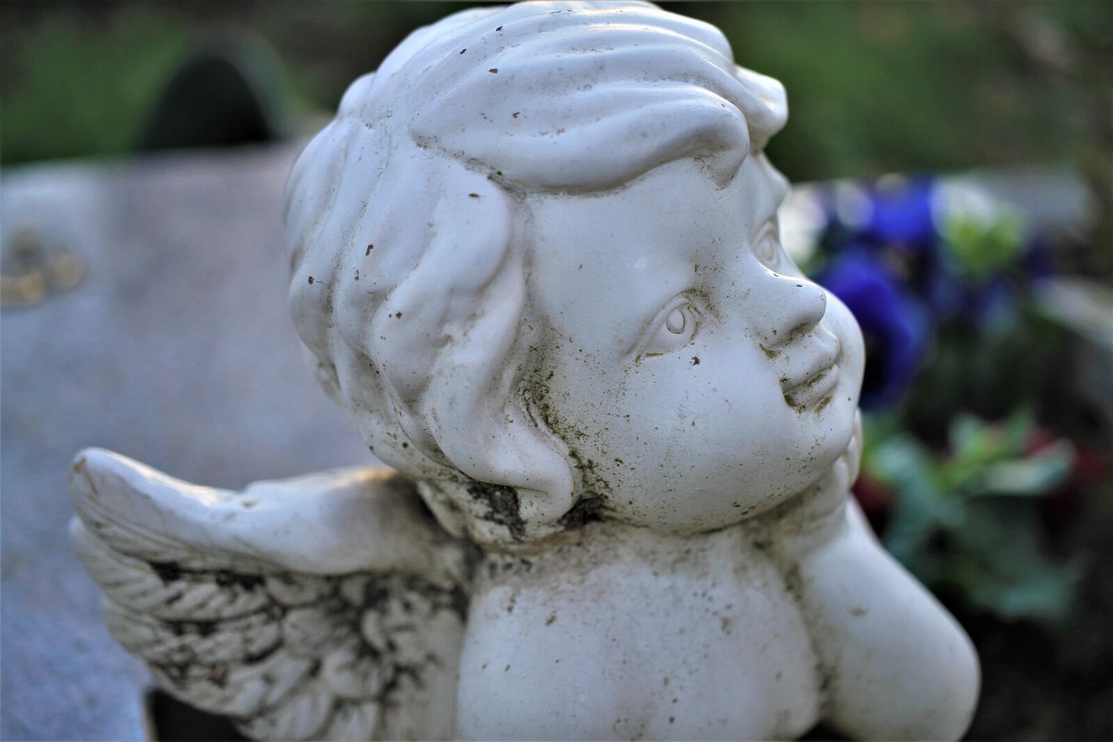 Canon EOS 7D sample photo. Angel, memory, mourning photography
