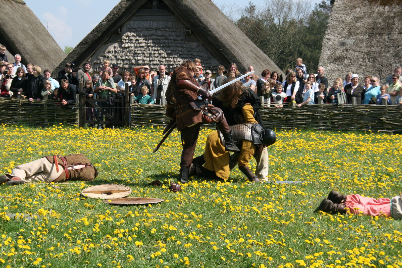 Sigma 18-200mm f/3.5-6.3 DC OS sample photo. Vikings photography