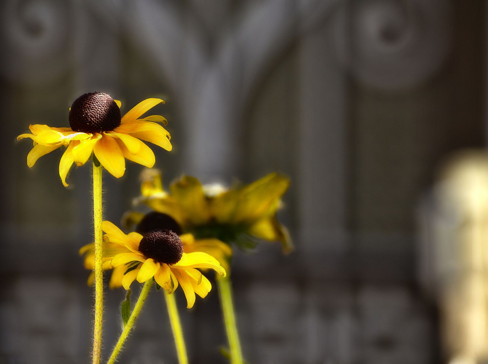 Nikon D7000 sample photo. Nature, beautiful, summer photography