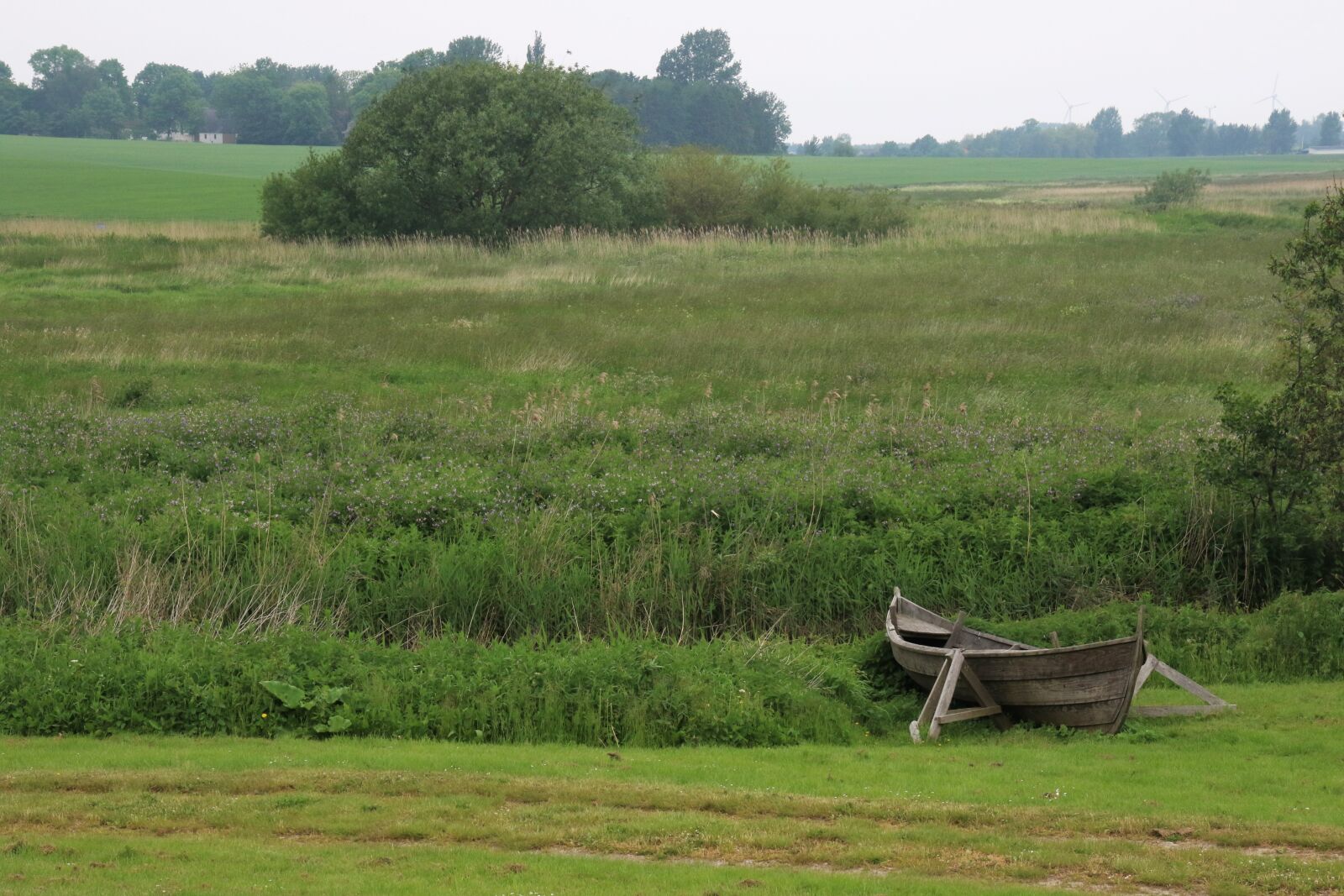 Canon EOS 7D Mark II sample photo. Boat, field, grass, green photography