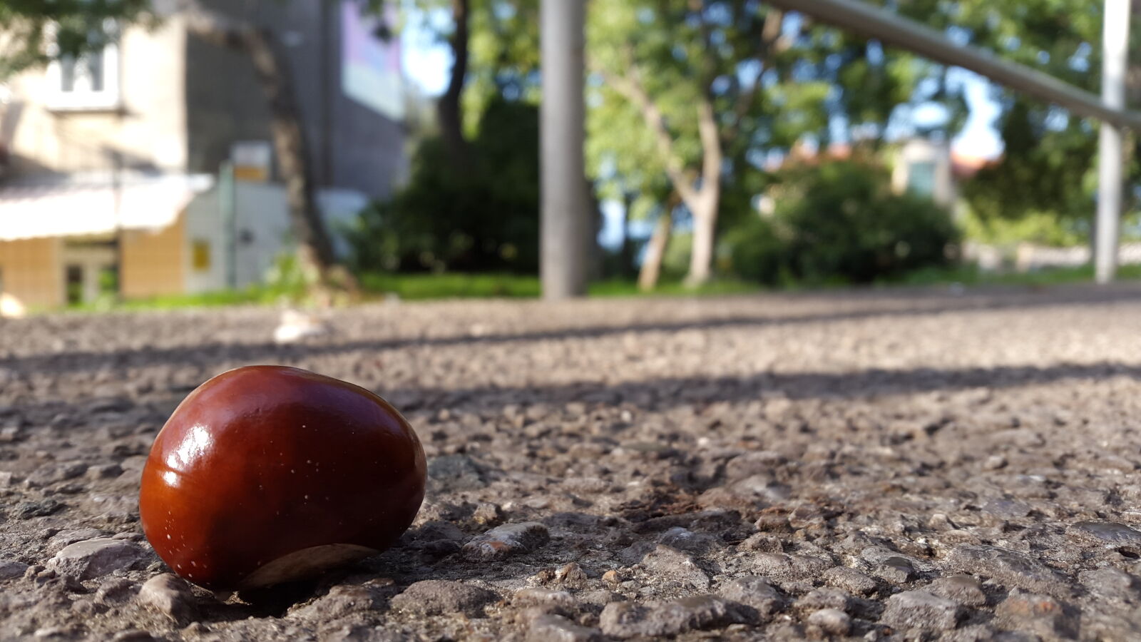 Samsung Galaxy Alpha sample photo. Chestnut, fence, trees photography