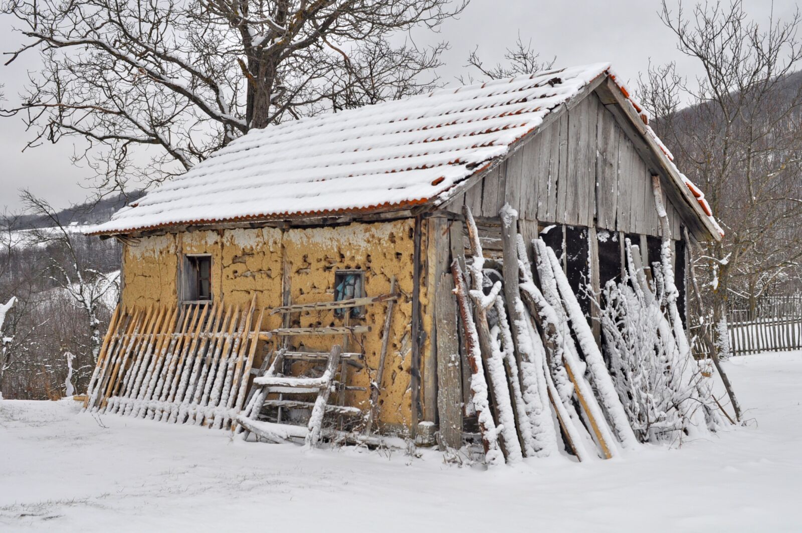 Nikon D90 sample photo. Winter, snow, wood photography