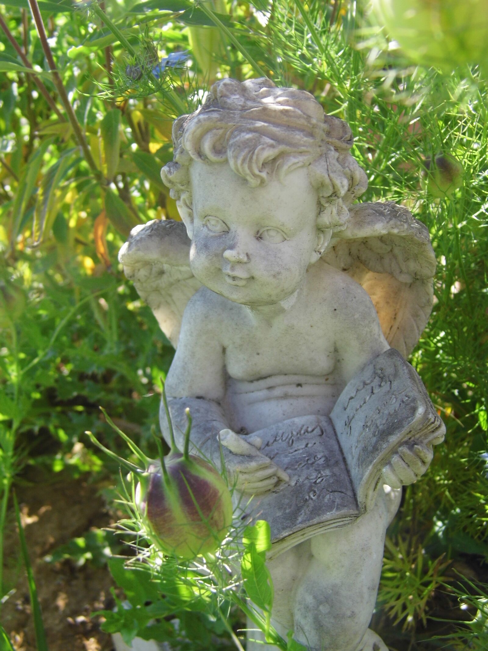 HITACHI HBC-1600E sample photo. Angel, statue, book photography