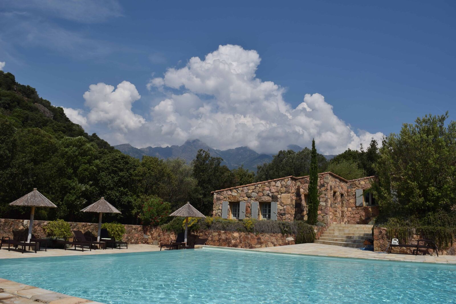 Nikon D3300 sample photo. Swimming pool, exterior, forest photography