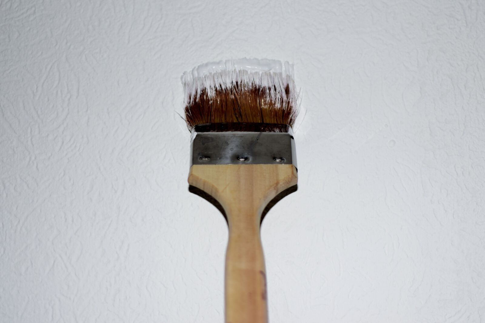 Nikon D5300 sample photo. Brush, delete, wall photography