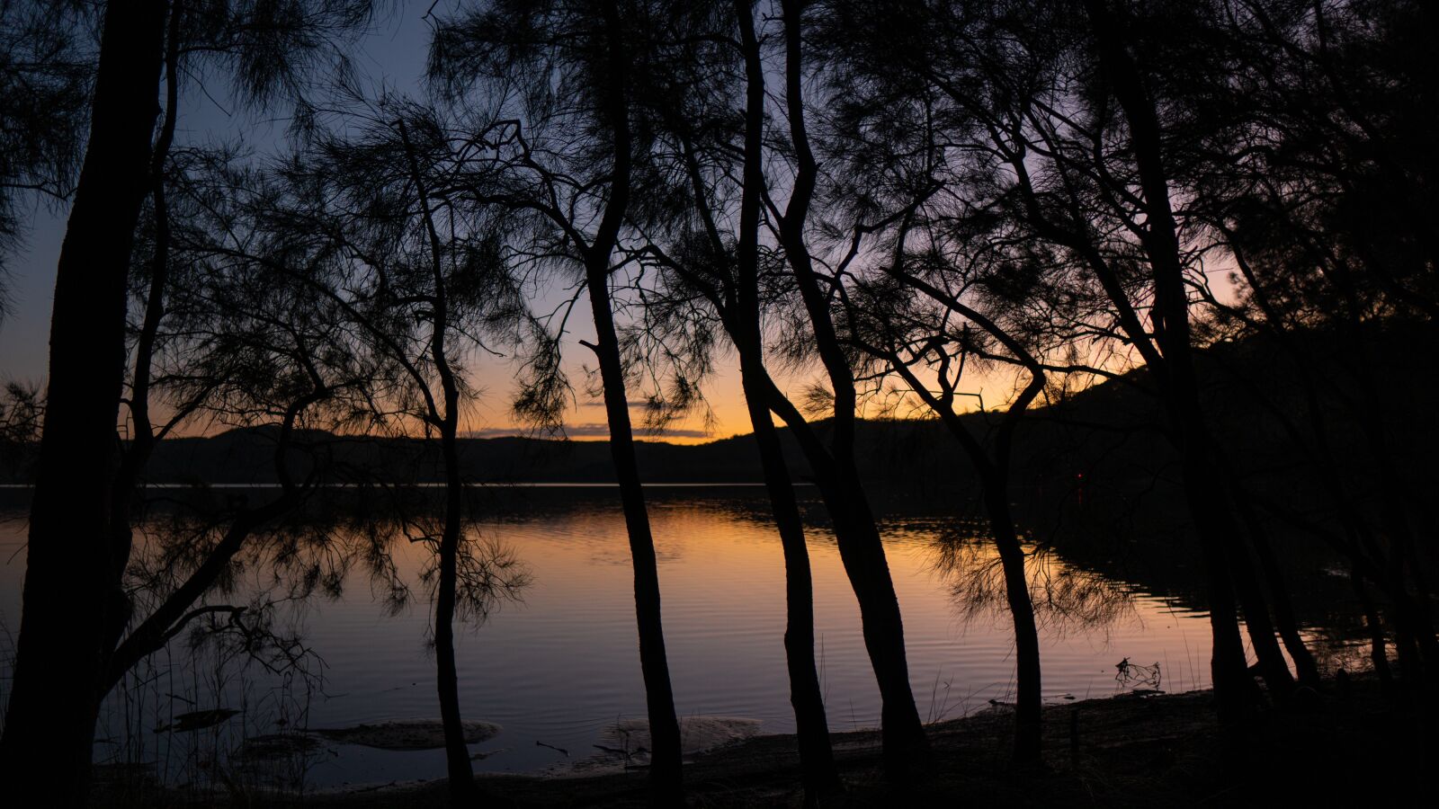 Sony a6300 sample photo. Trees, lake, sunset photography