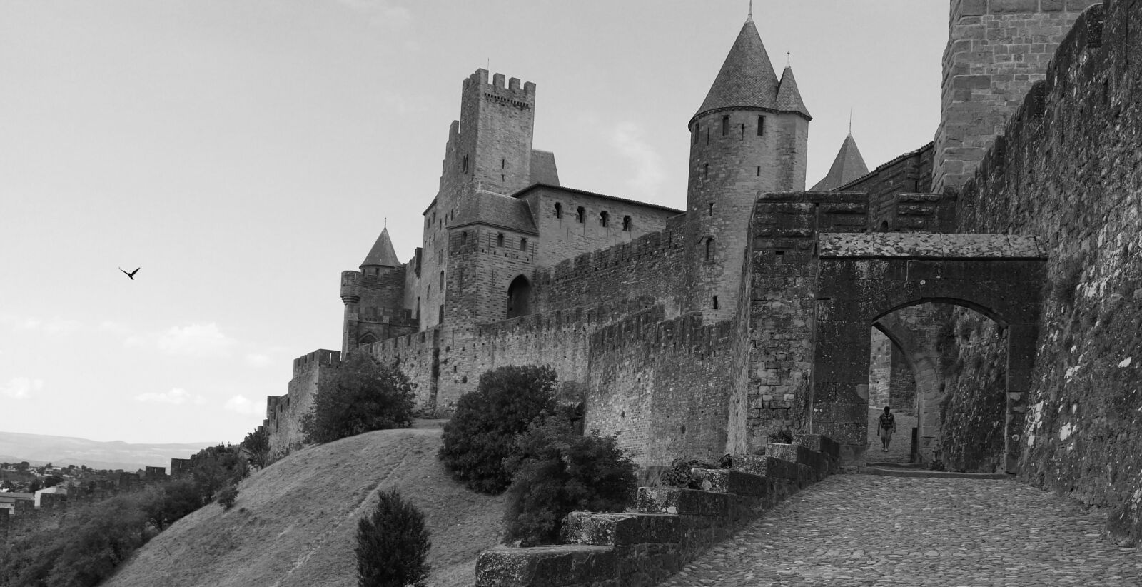 HUAWEI GX8 sample photo. Carcassonne, france, medieval city photography