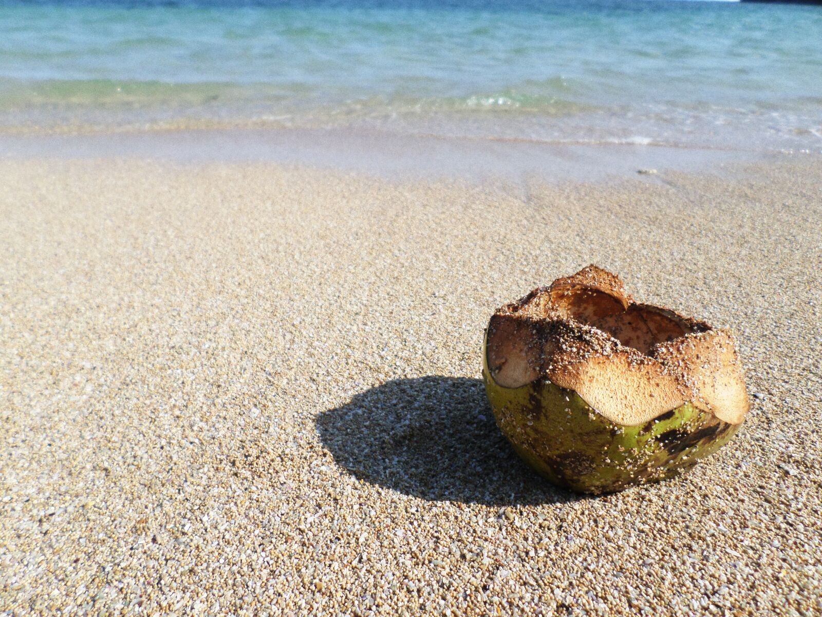 Samsung ST72/ST73 sample photo. Coconut, asia, fruit photography