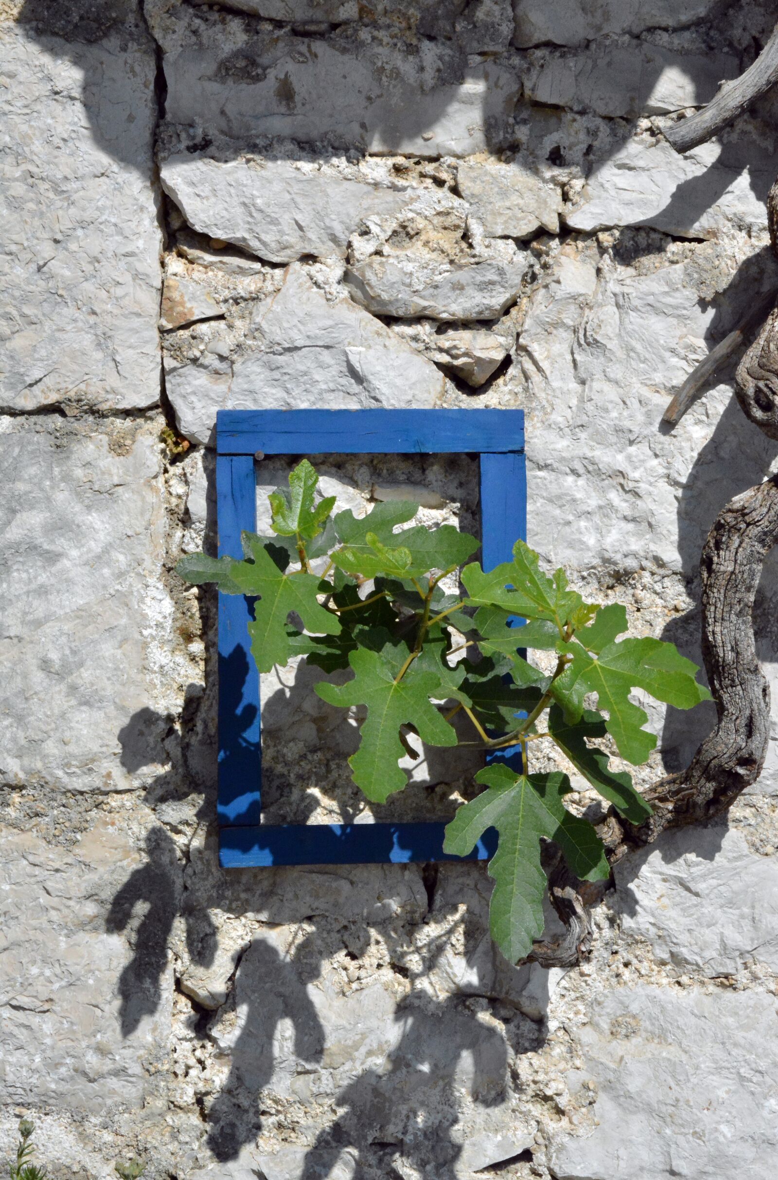 Nikon D5200 sample photo. Blue frame, decorative, frame photography