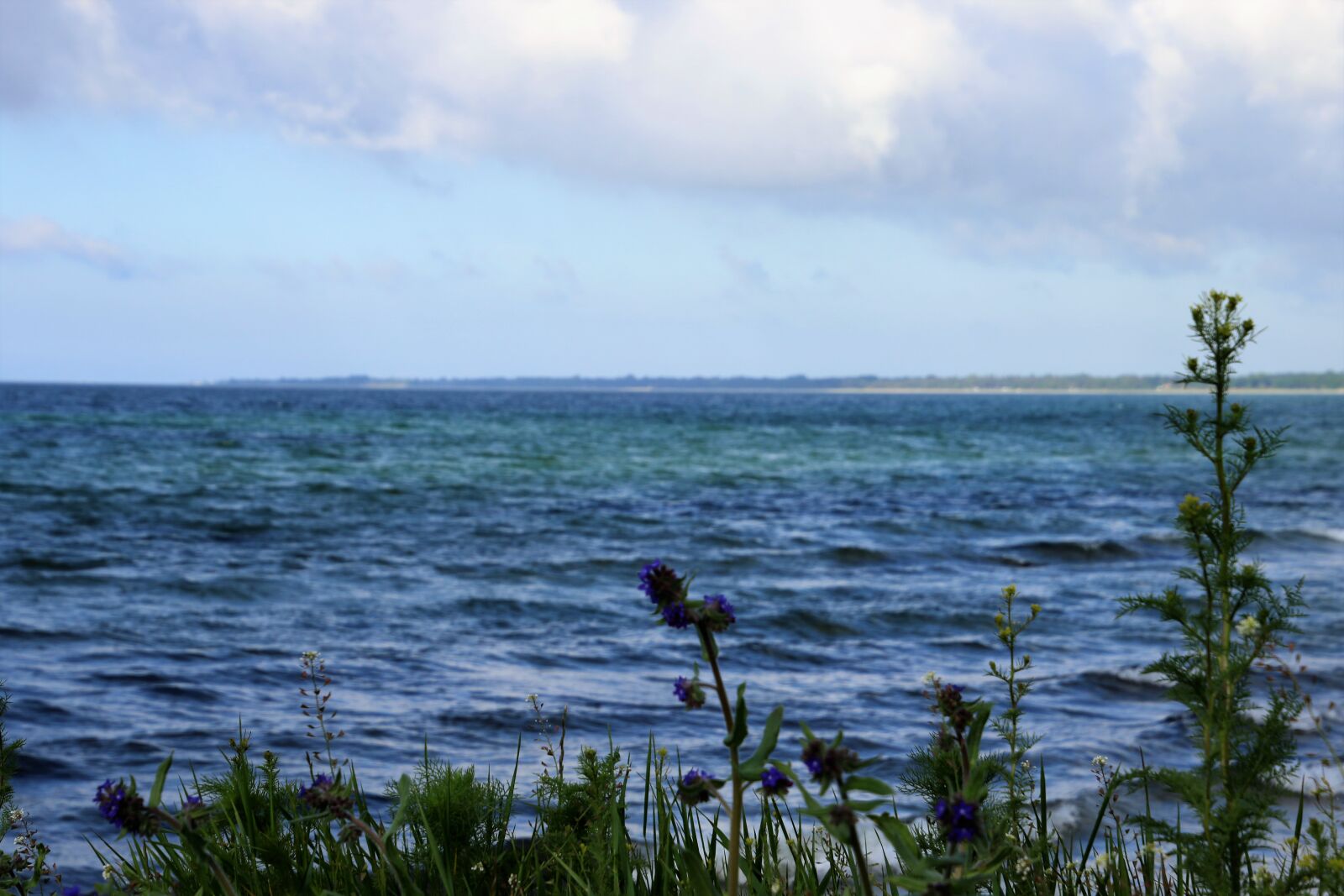 Canon EOS 7D Mark II sample photo. Beach, blue, blue, sky photography