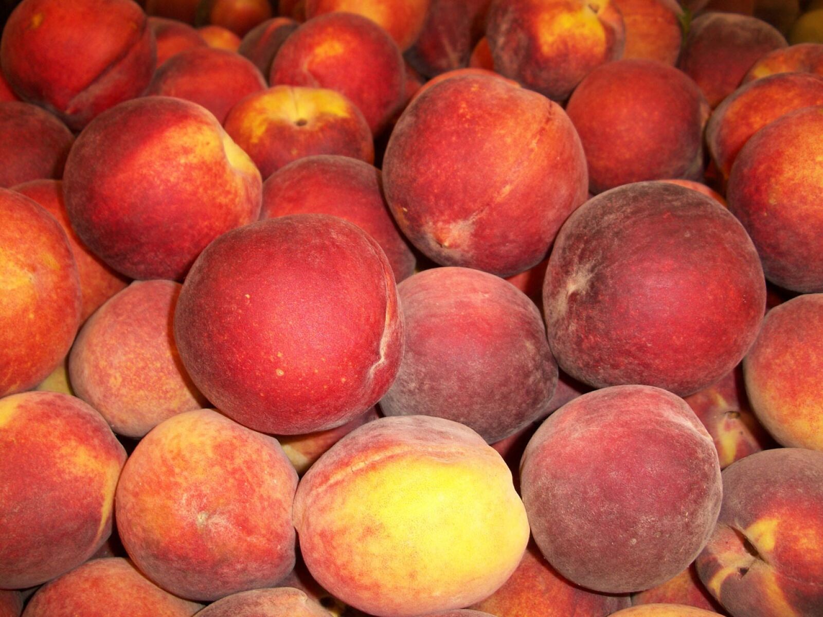 Kodak EASYSHARE M340 DIGITAL CAMERA sample photo. Peach, food, peaches photography