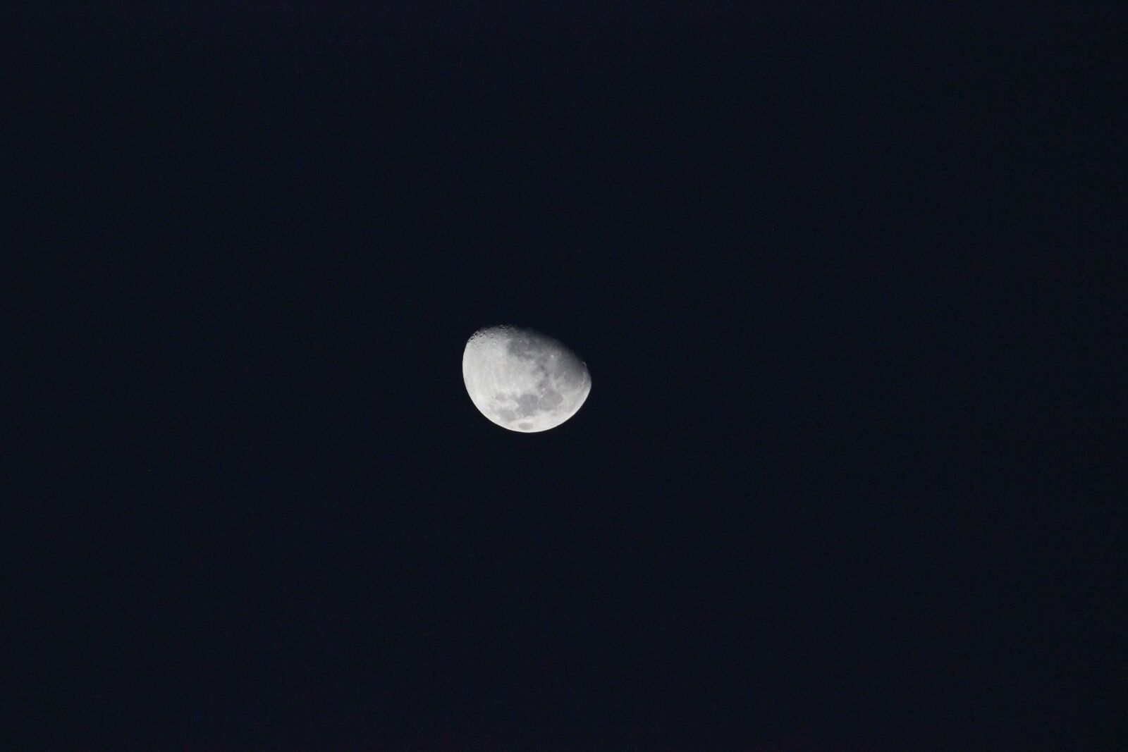 Canon EOS 550D (EOS Rebel T2i / EOS Kiss X4) sample photo. Luna, night, evening photography