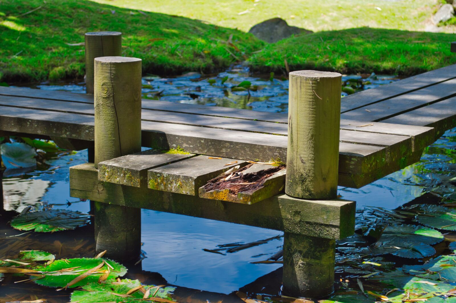 Nikon D3200 sample photo. Cartago, costa rica, pond photography