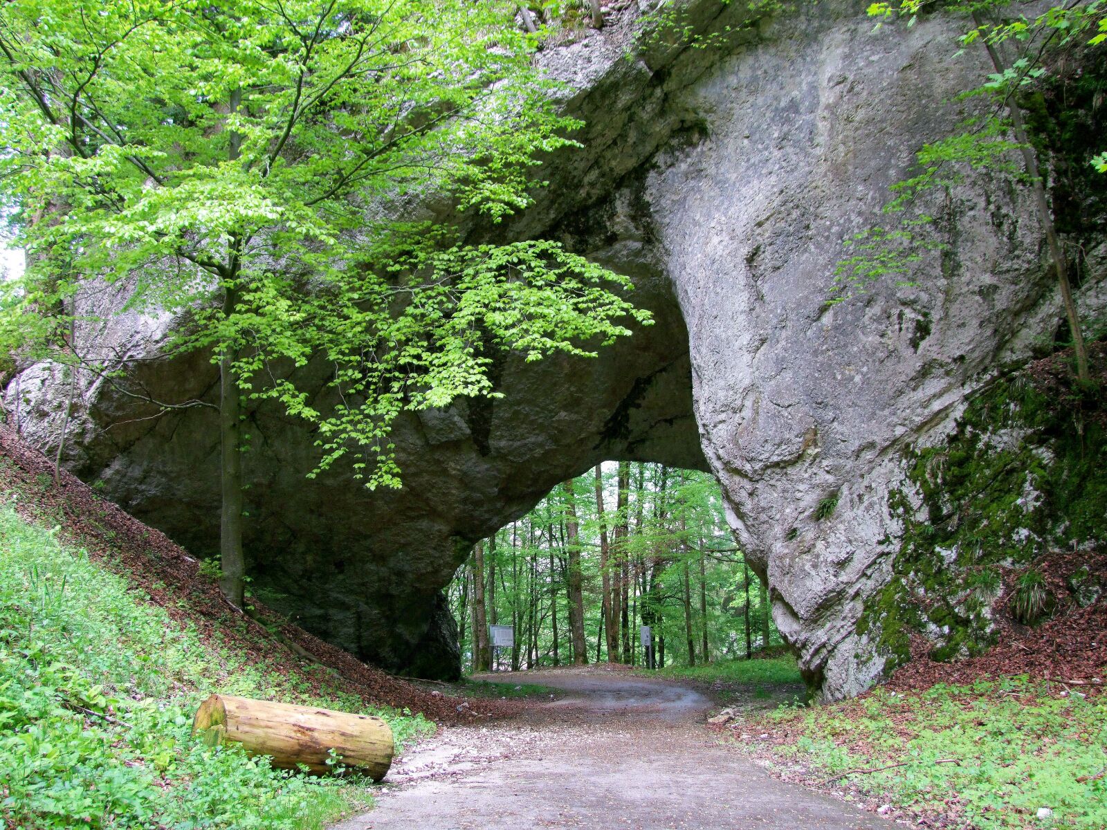 Fujifilm FinePix S100fs sample photo. Passageway, stone, cliff photography