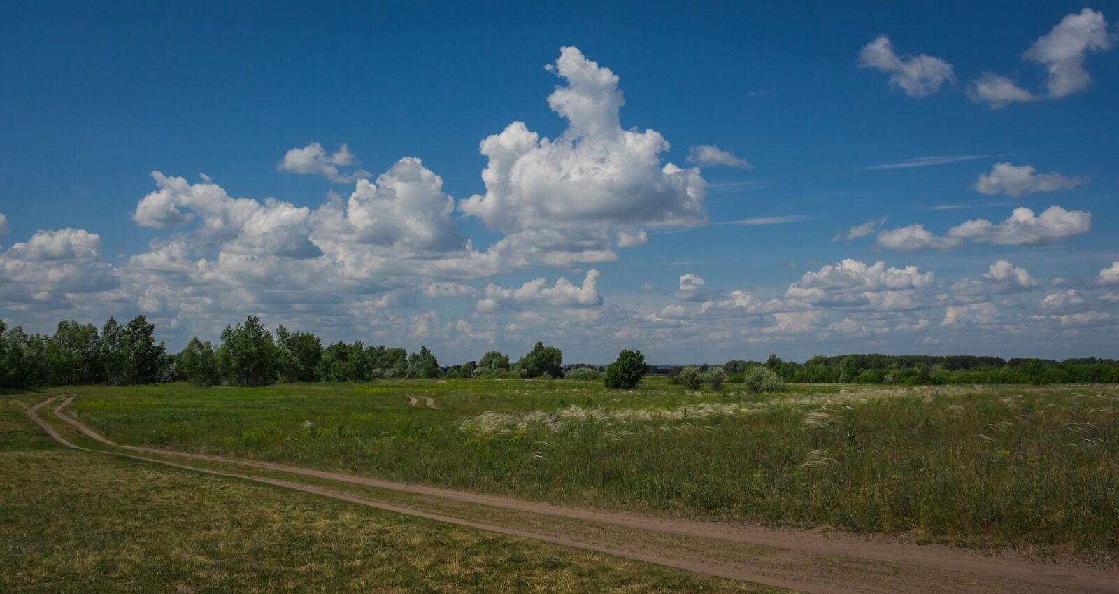 Canon EOS 650D (EOS Rebel T4i / EOS Kiss X6i) sample photo. Nature, horizon, peyzad photography