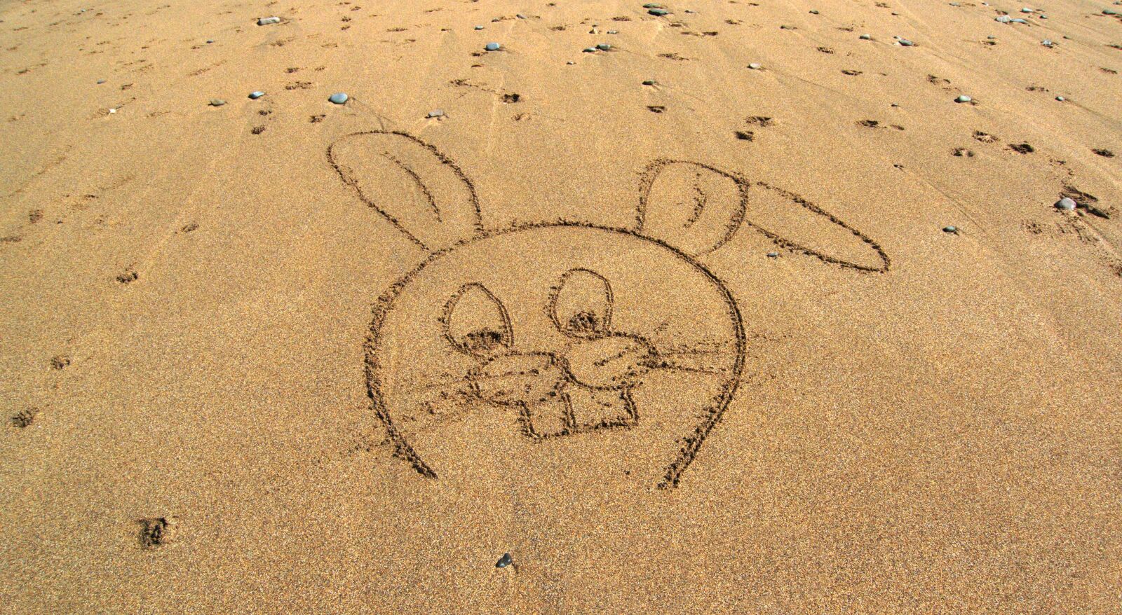 Panasonic Lumix DMC-LX3 sample photo. Rabbit, cartoon, beach photography
