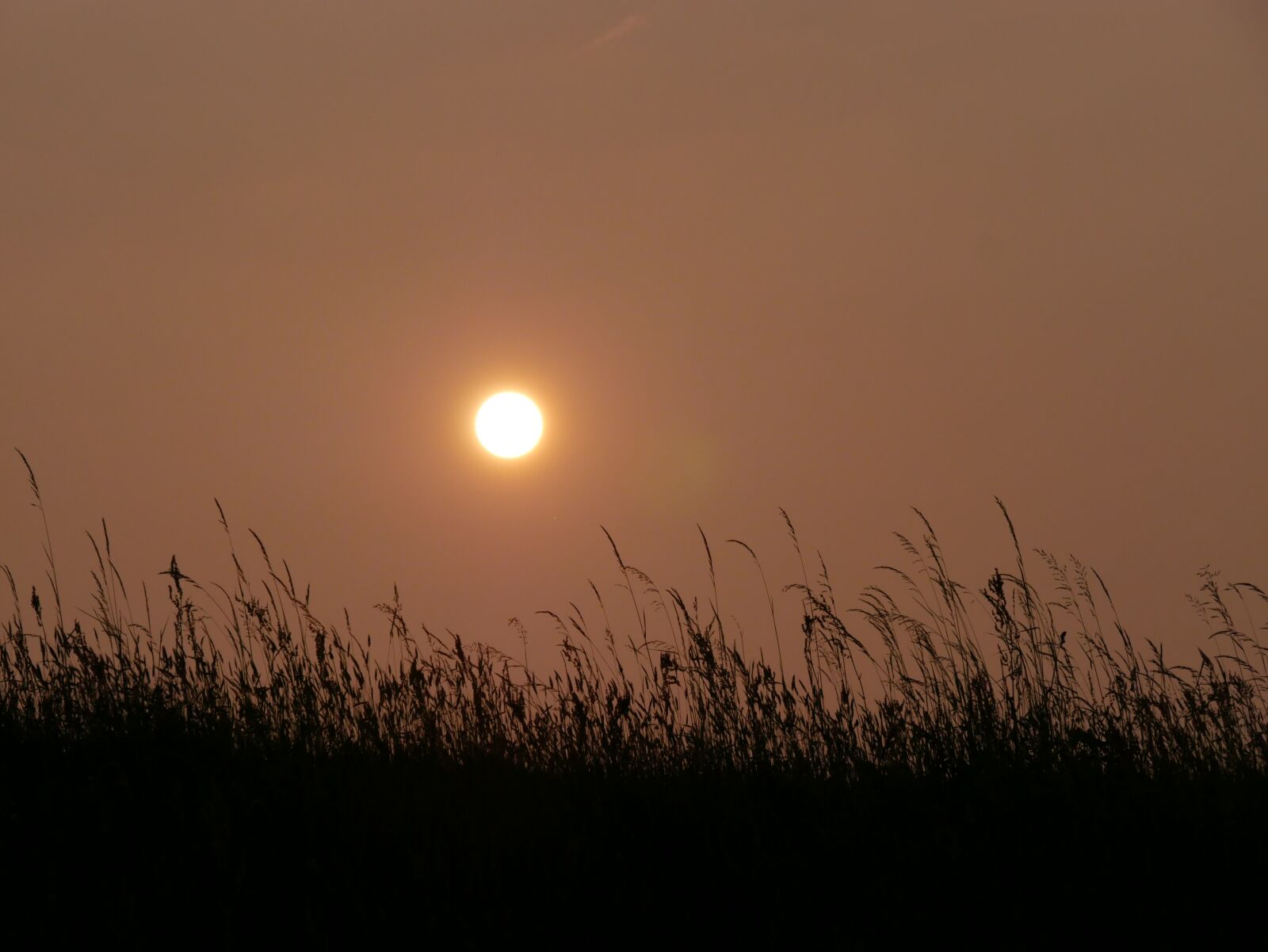 Panasonic DMC-G70 sample photo. Sun, sunset, abendstimmung photography