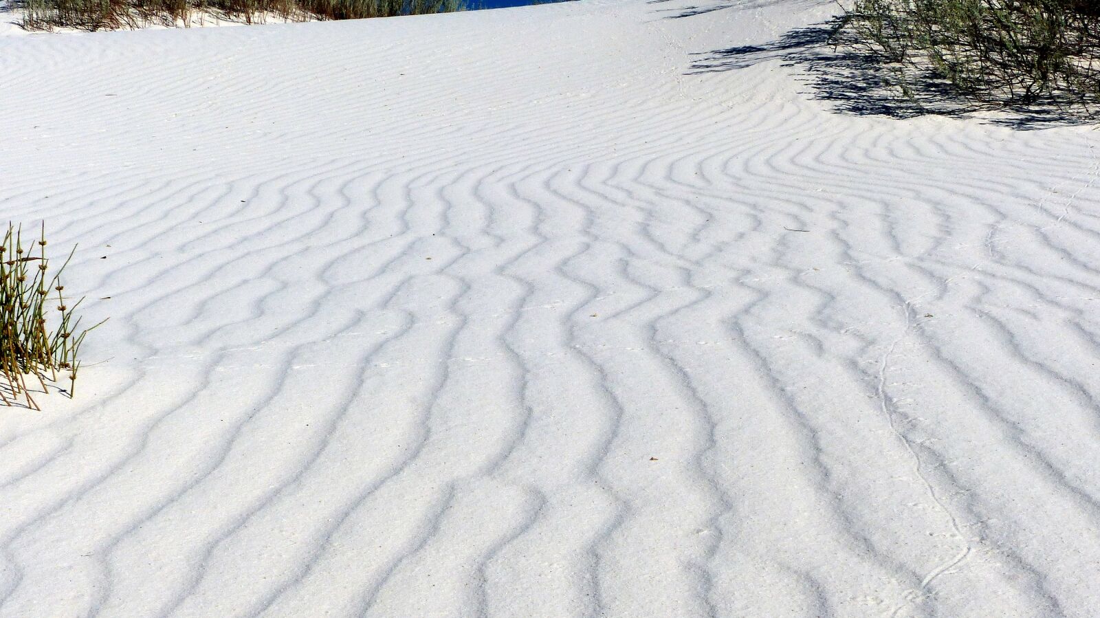 Panasonic Lumix DMC-FZ200 sample photo. Dunes, sands, white photography