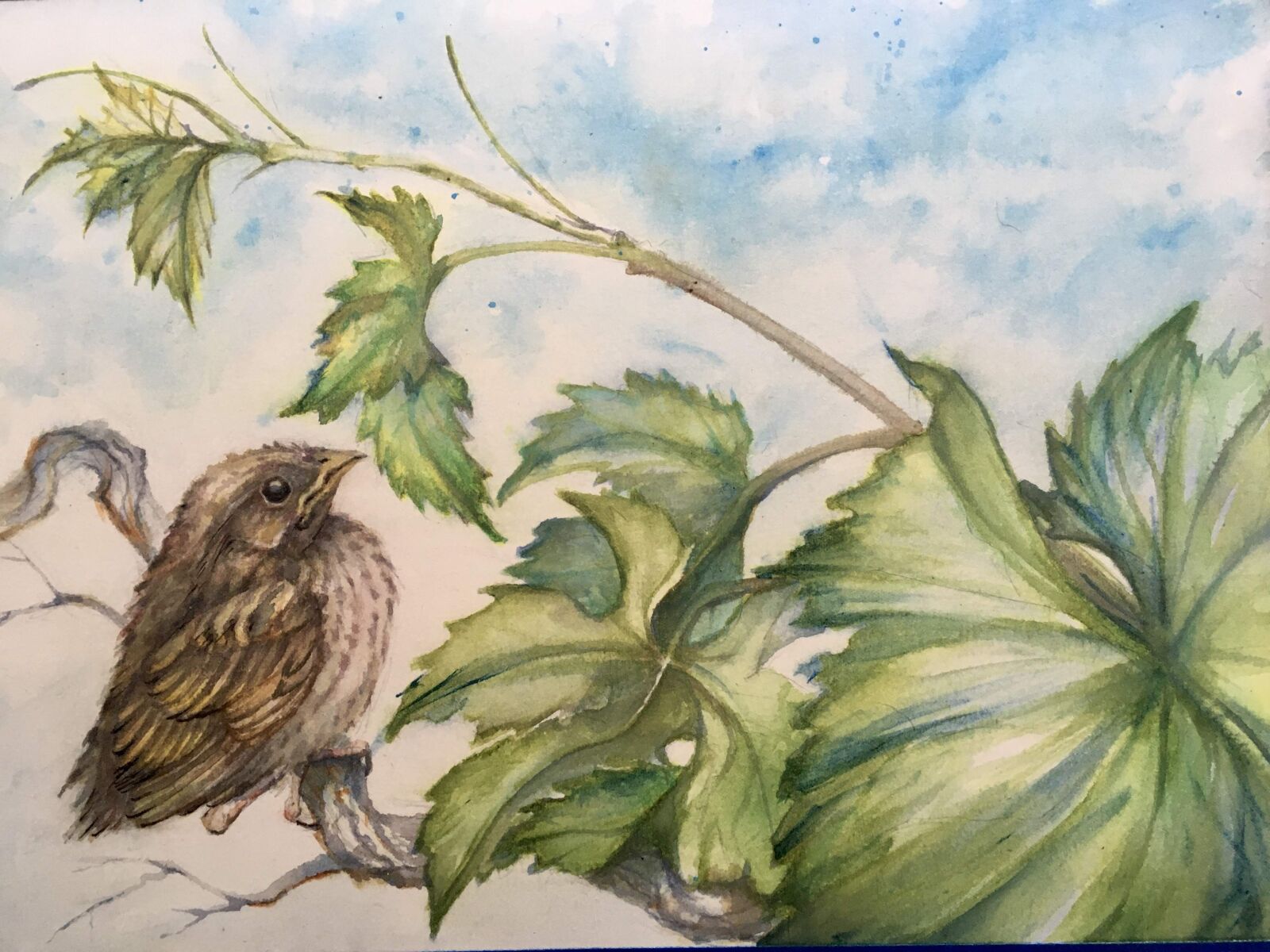 Apple iPhone 6s sample photo. Audreyd, watercolor, sparrow photography