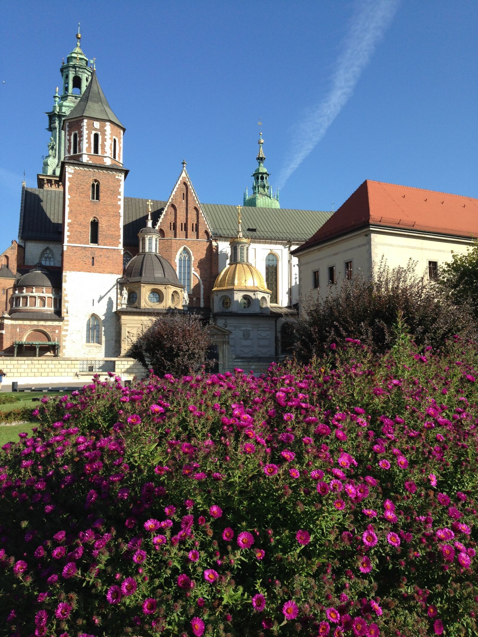 iPhone 5c back camera 4.12mm f/2.4 sample photo. Krak w, wawel, wawel photography