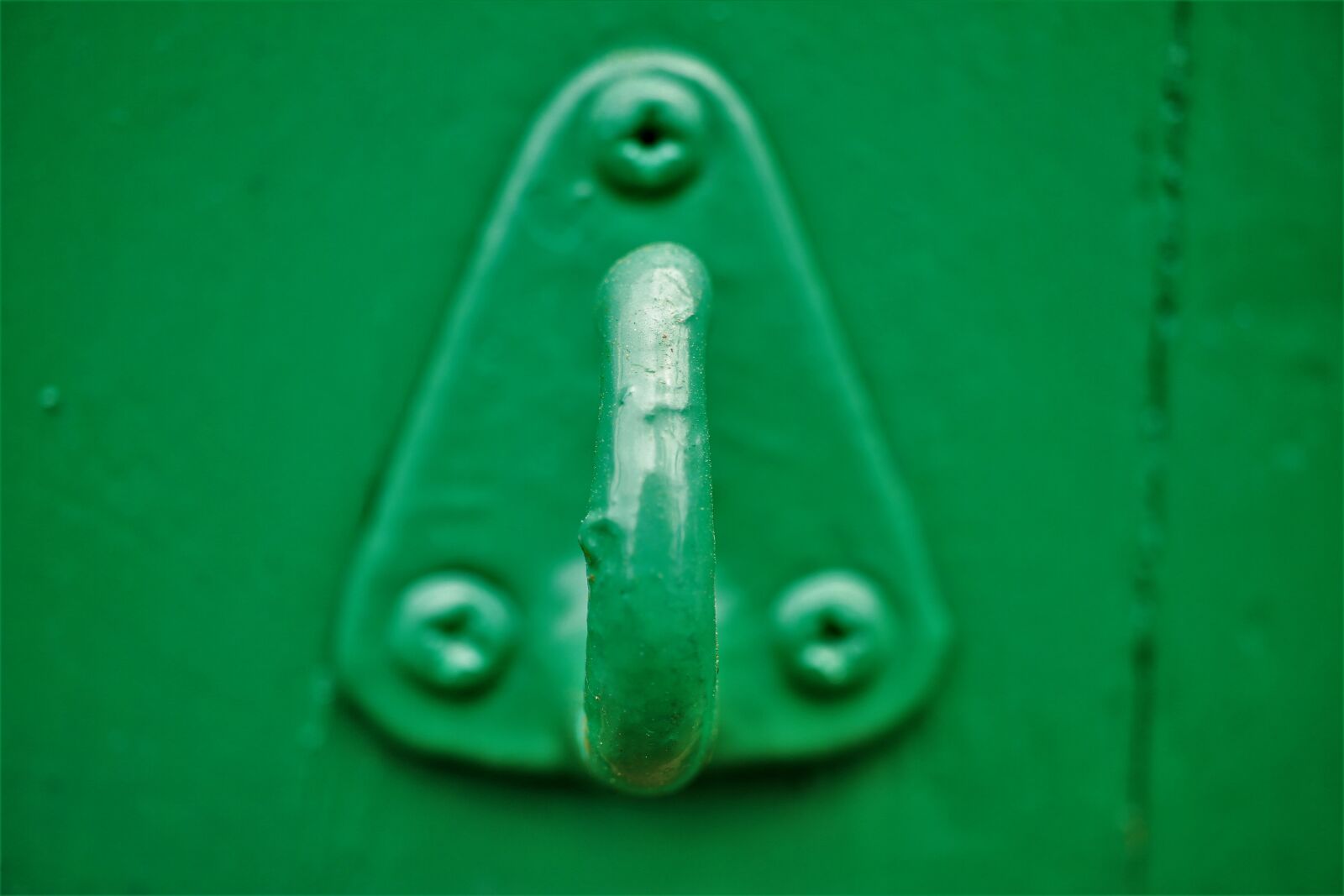 Canon EF-S 35mm F2.8 Macro IS STM sample photo. Hook, screw, mount photography