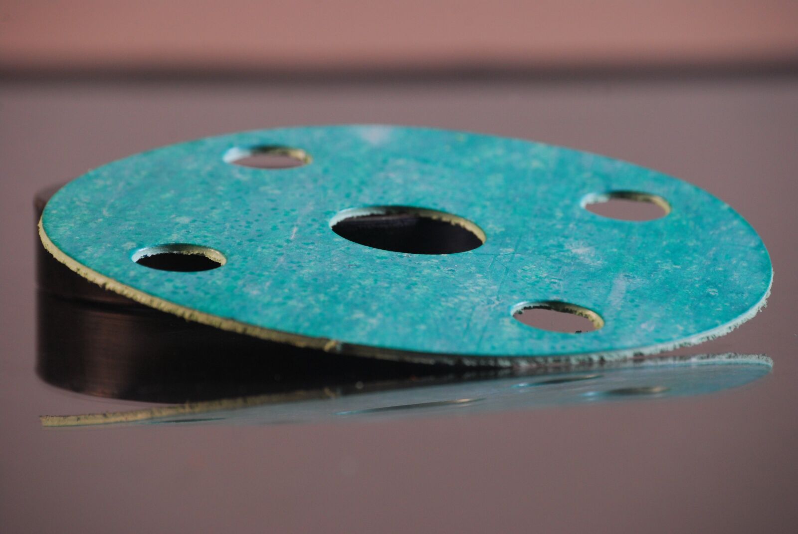 Nikon D40X sample photo. Gasket, munsch greeneseal, non-asbestos photography