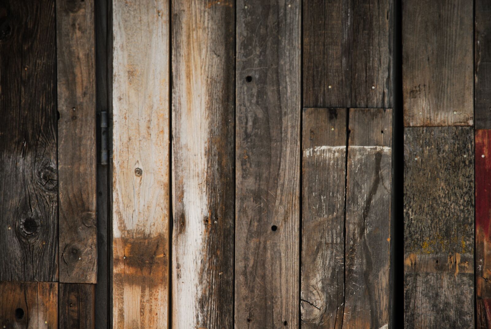 Nikon D3000 sample photo. Wood, old, rough photography