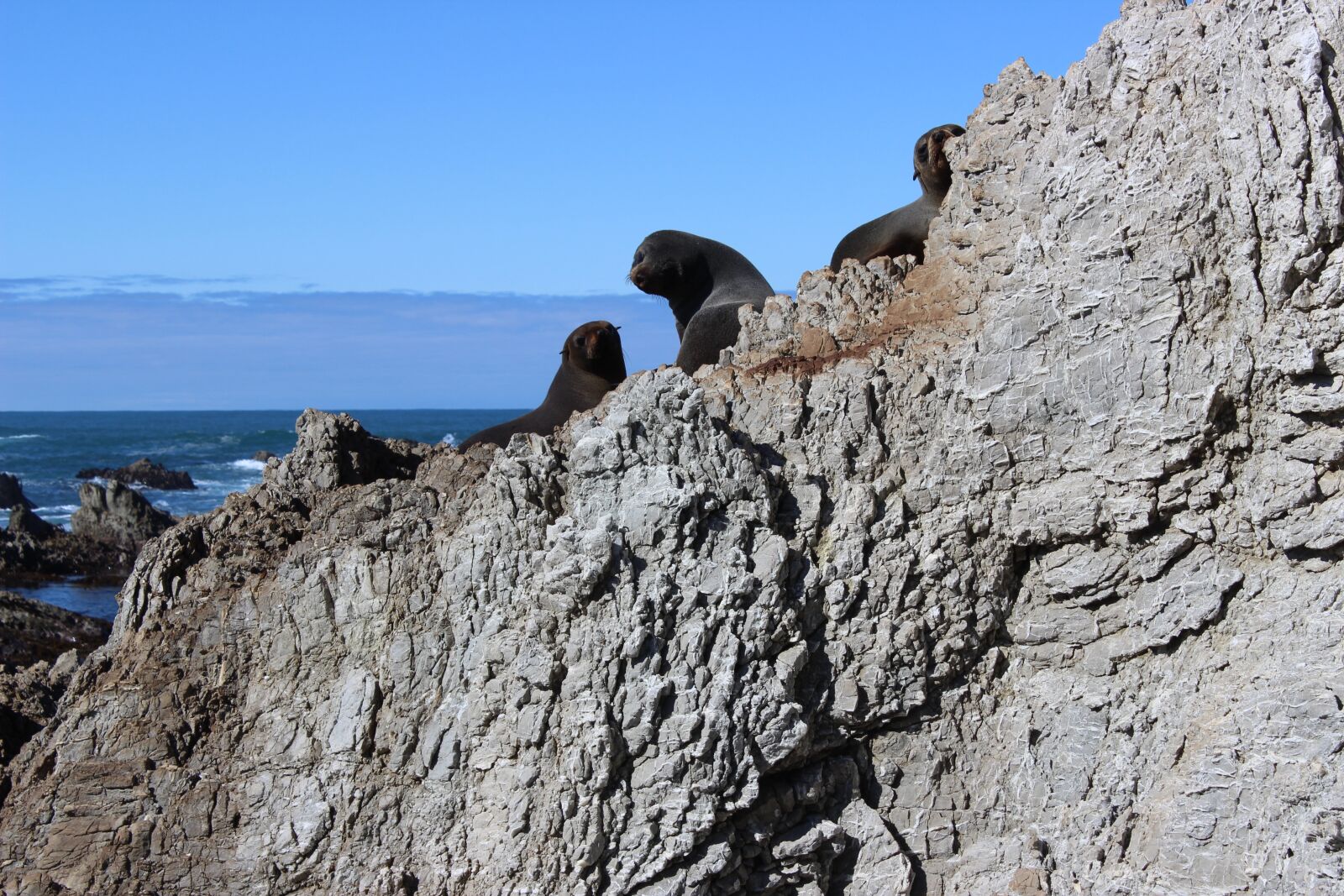 Canon EOS 600D (Rebel EOS T3i / EOS Kiss X5) sample photo. Crawl, rock, sea photography