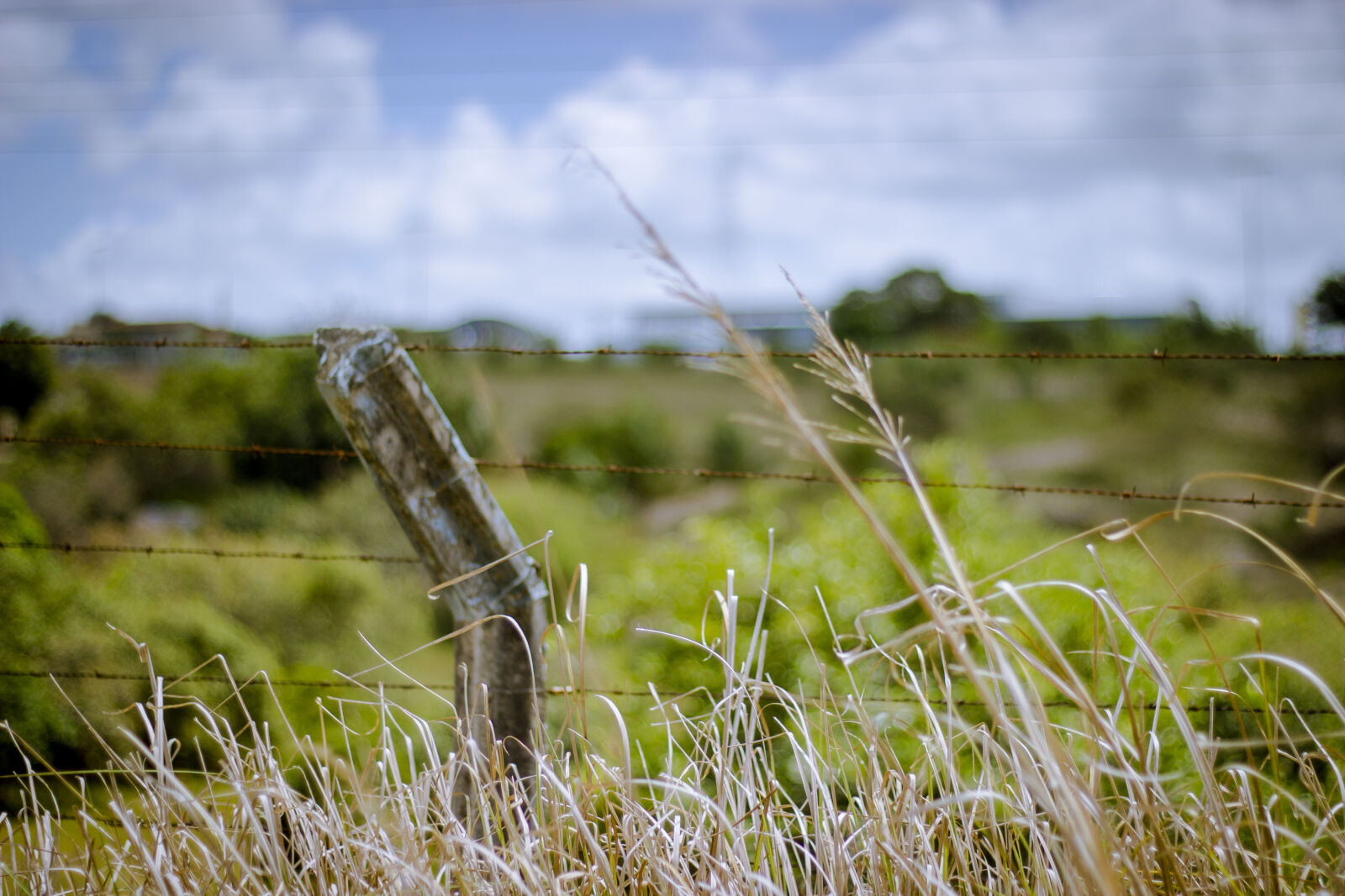 Canon EF 50mm F1.8 II sample photo. Blue, blue, sky, clouds photography