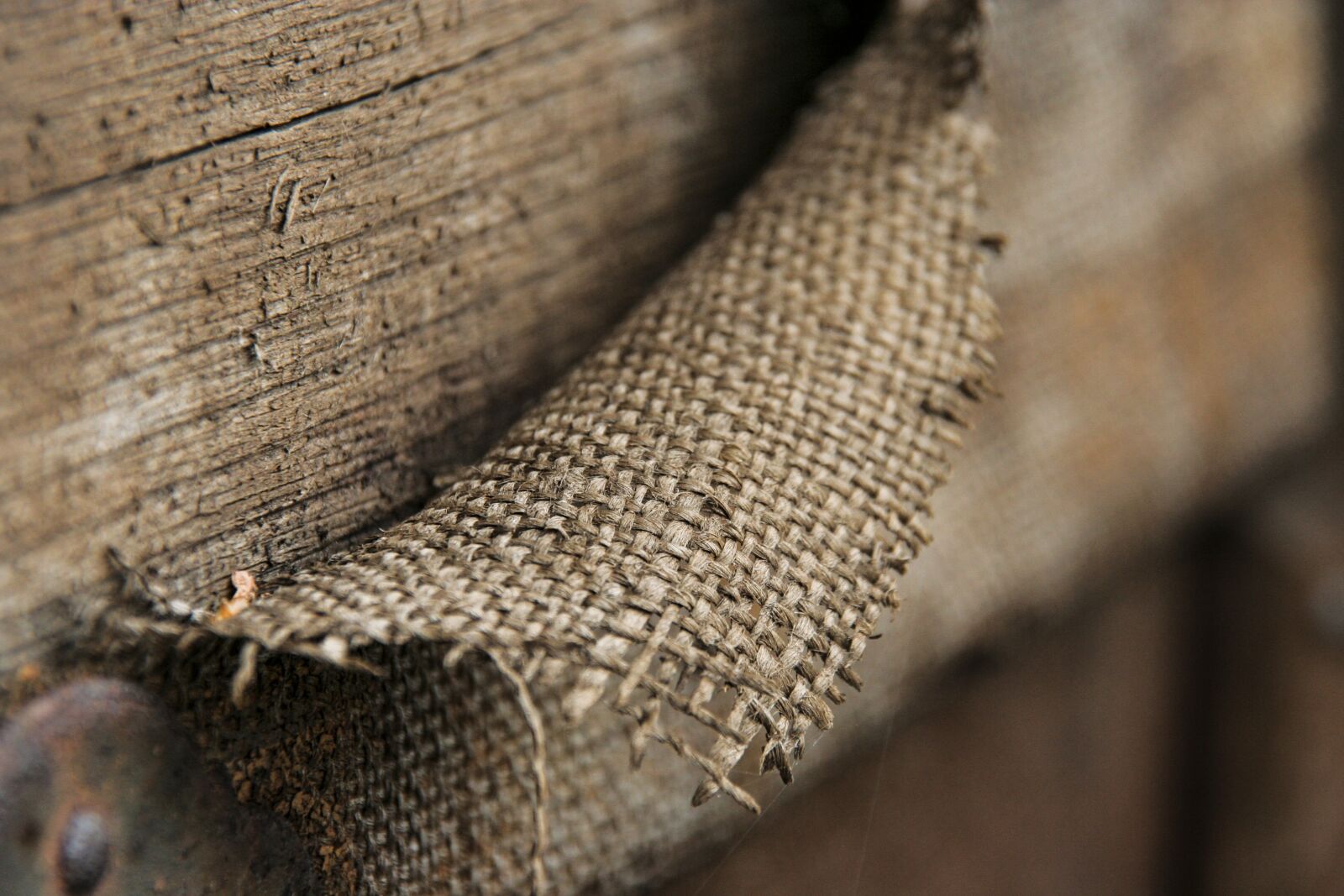 Canon EOS 350D (EOS Digital Rebel XT / EOS Kiss Digital N) sample photo. Structure, fabric, textile photography