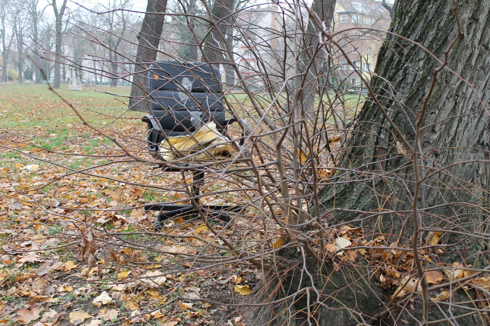 Canon EOS 1100D (EOS Rebel T3 / EOS Kiss X50) sample photo. Chair, tree, disinfection photography