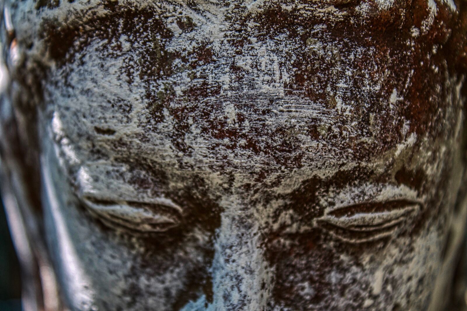 Canon EOS 1100D (EOS Rebel T3 / EOS Kiss X50) sample photo. Art, article, abstract photography