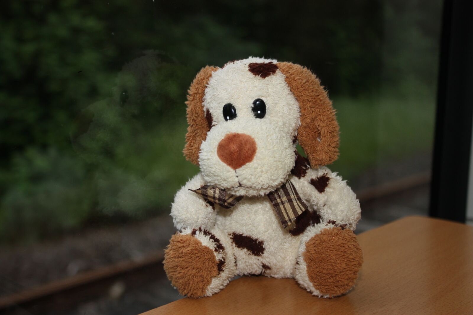 Canon EOS 450D (EOS Rebel XSi / EOS Kiss X2) sample photo. Dog, stuffed animal, children photography