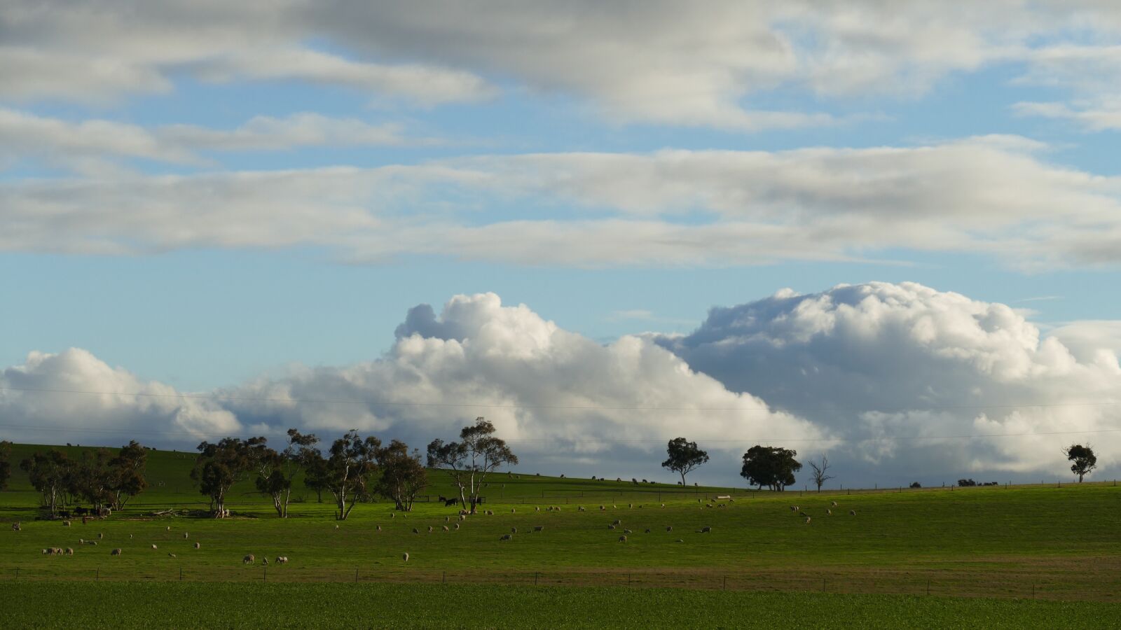 Panasonic Lumix DMC-FZ1000 sample photo. Bulking, clouds, farmland photography
