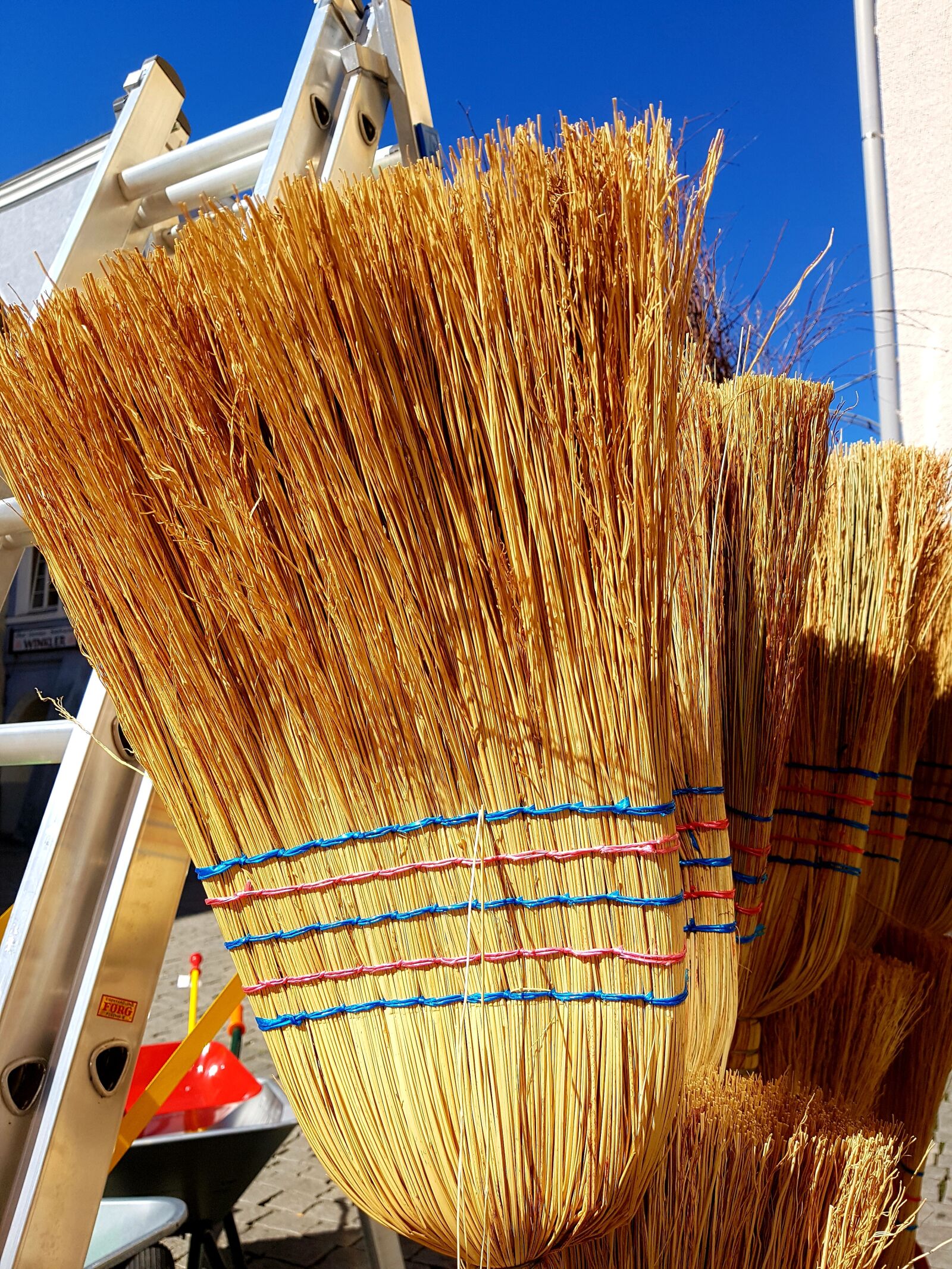 Samsung Galaxy S7 Edge sample photo. Broom, head, ranking photography