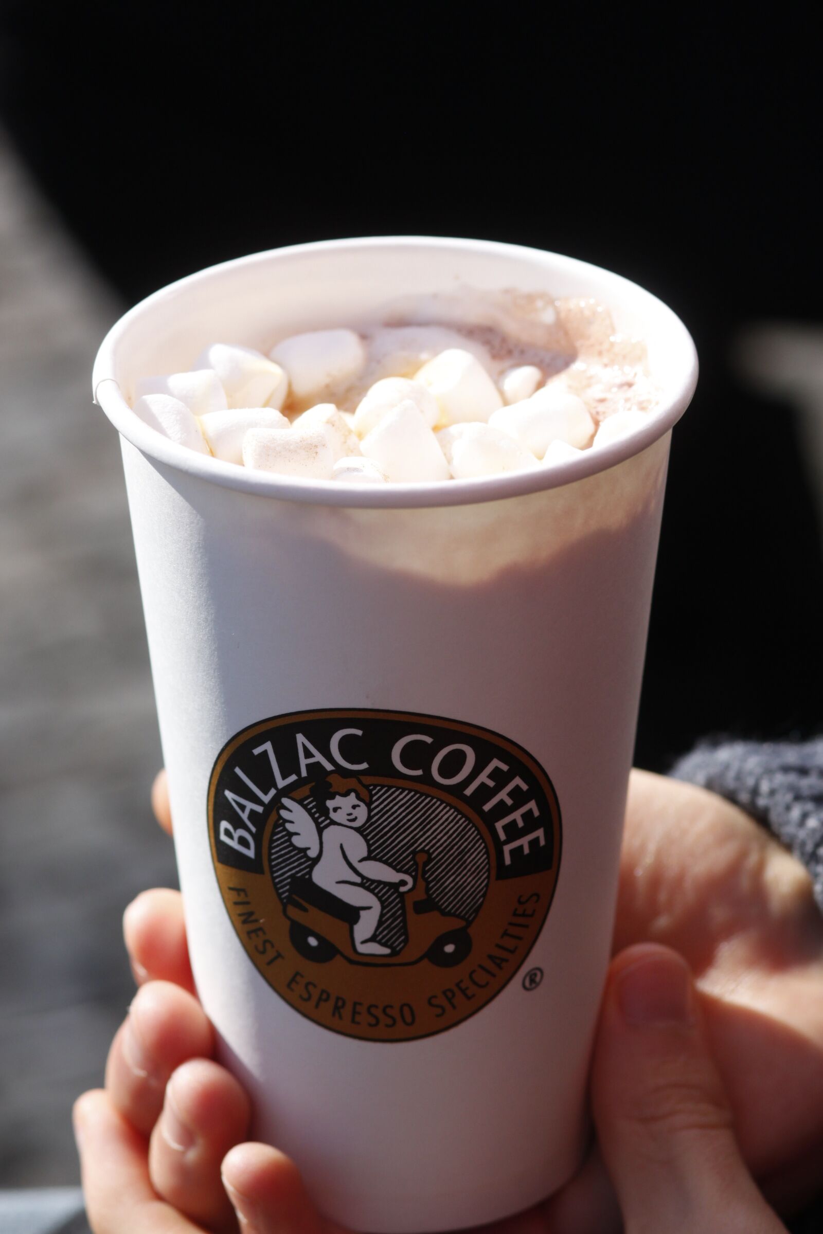 Canon EOS 500D (EOS Rebel T1i / EOS Kiss X3) sample photo. Coffee, mug, marshmallow photography