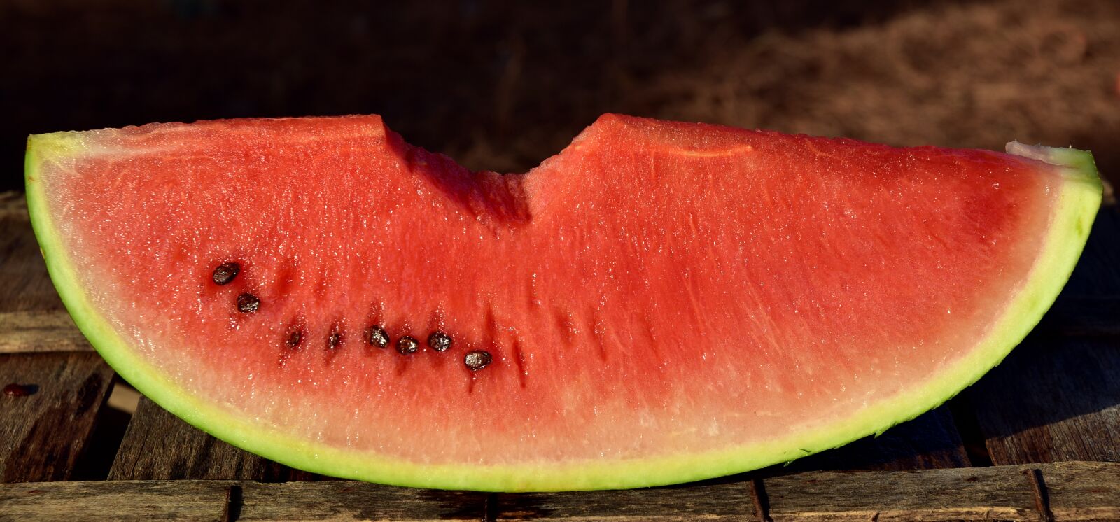 Nikon D750 sample photo. Melon, watermelon, fruit photography