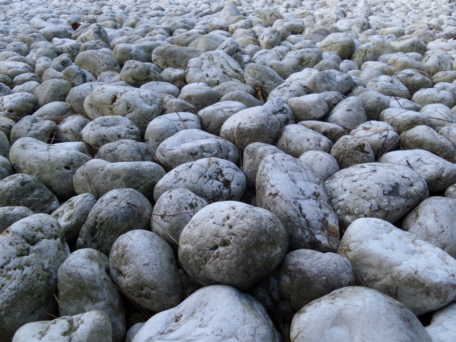 Samsung Galaxy K Zoom sample photo. Stones, grey, pavement photography