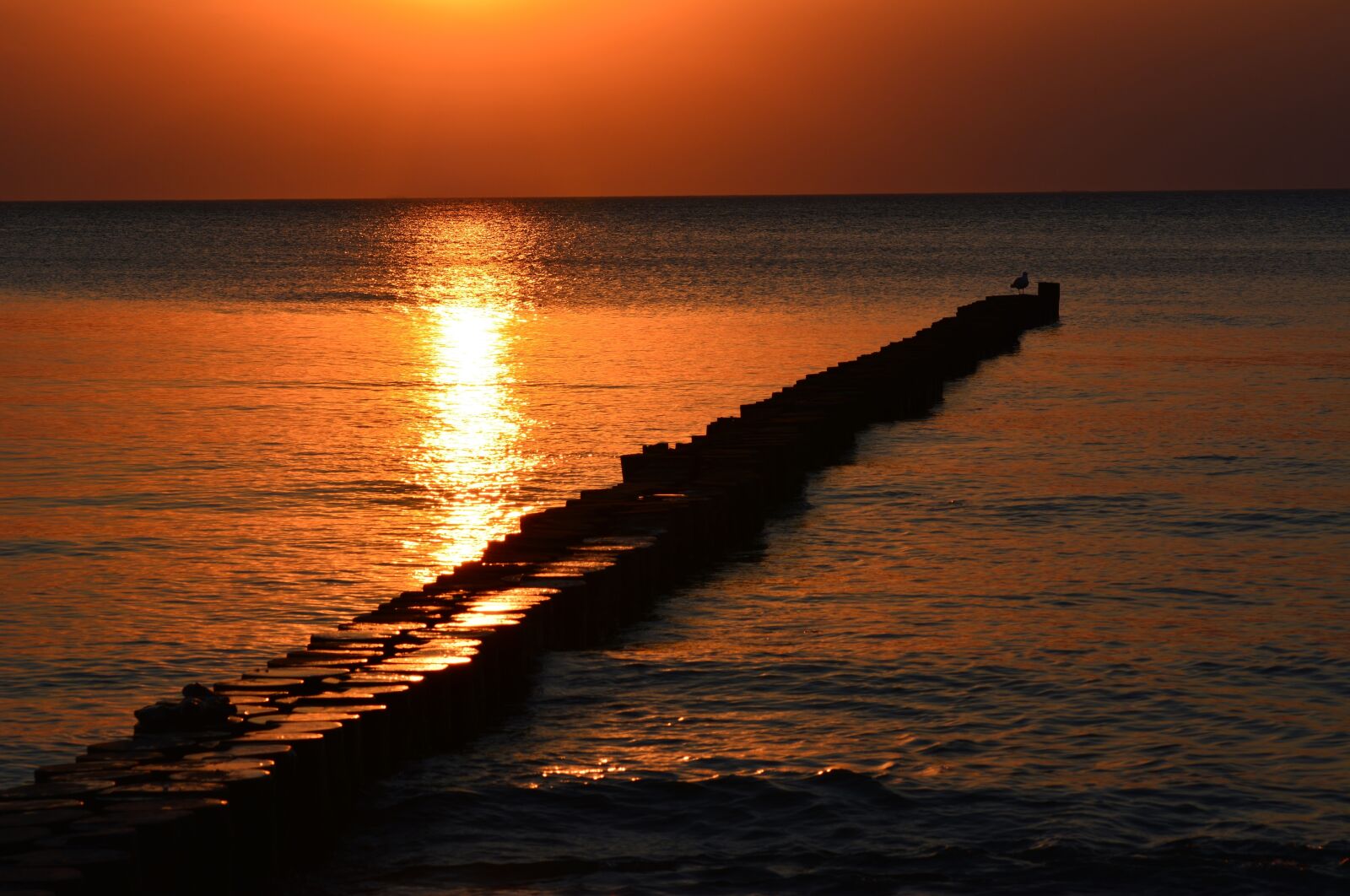 Nikon D5200 sample photo. Sunset, baltic sea, romantic photography