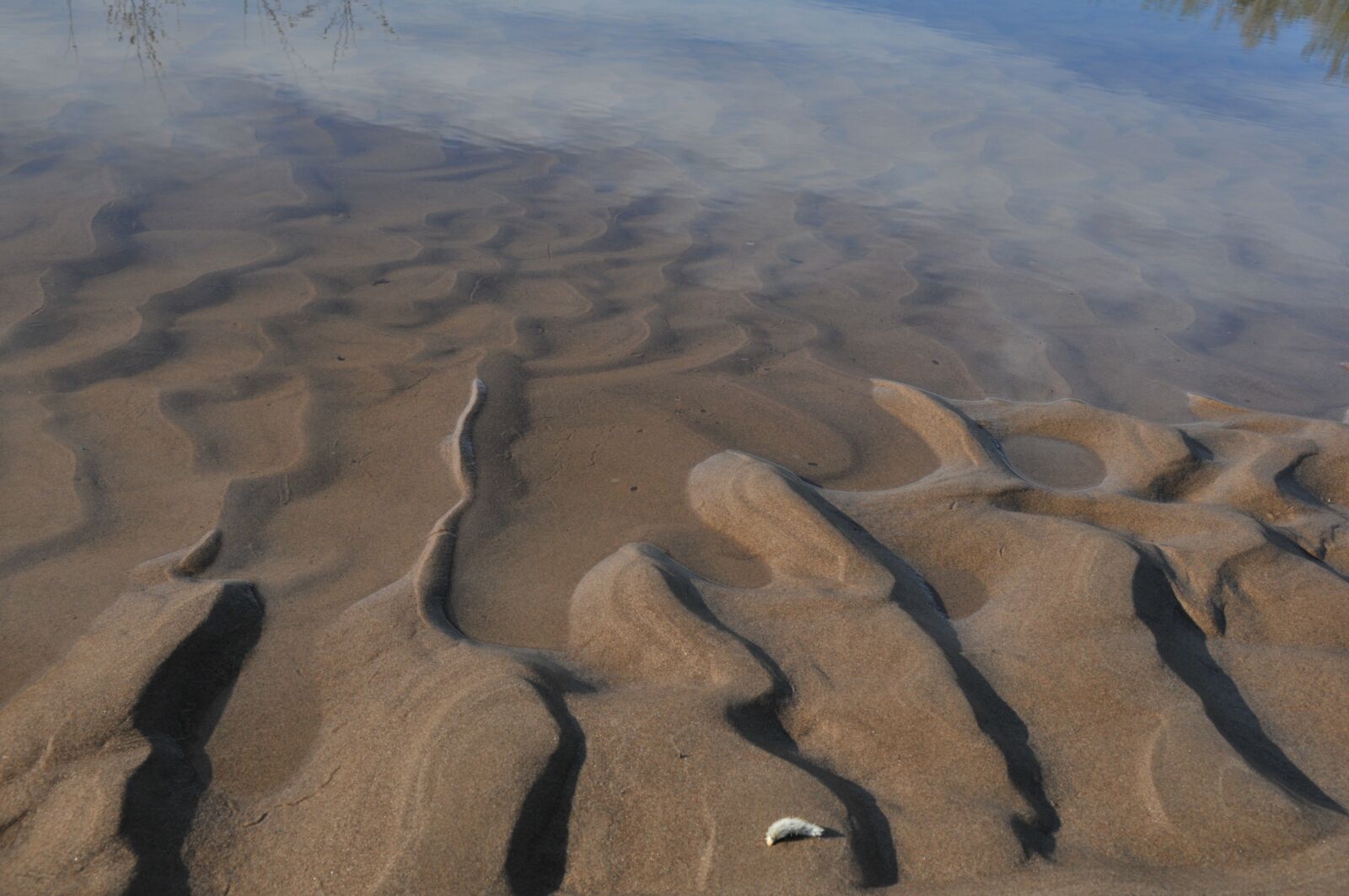 Nikon D300S sample photo. Beach, water, sand photography