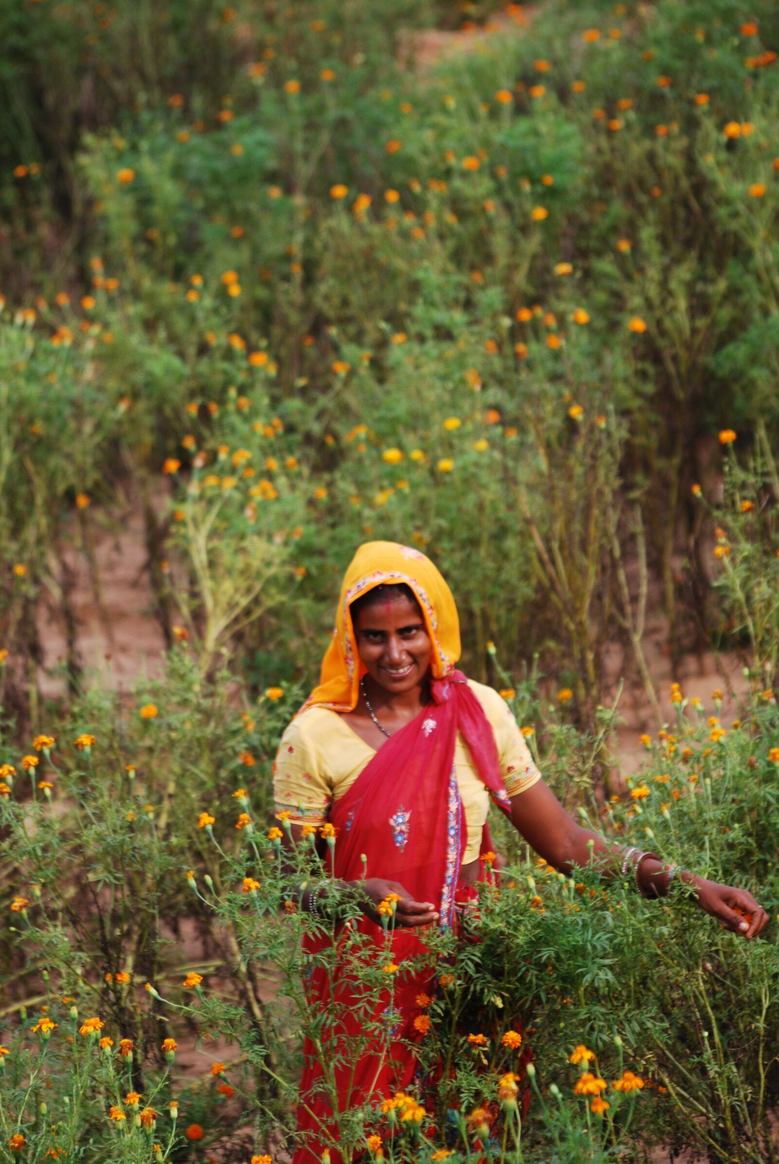 Nikon D60 sample photo. Jaipur, village scene, flowers photography