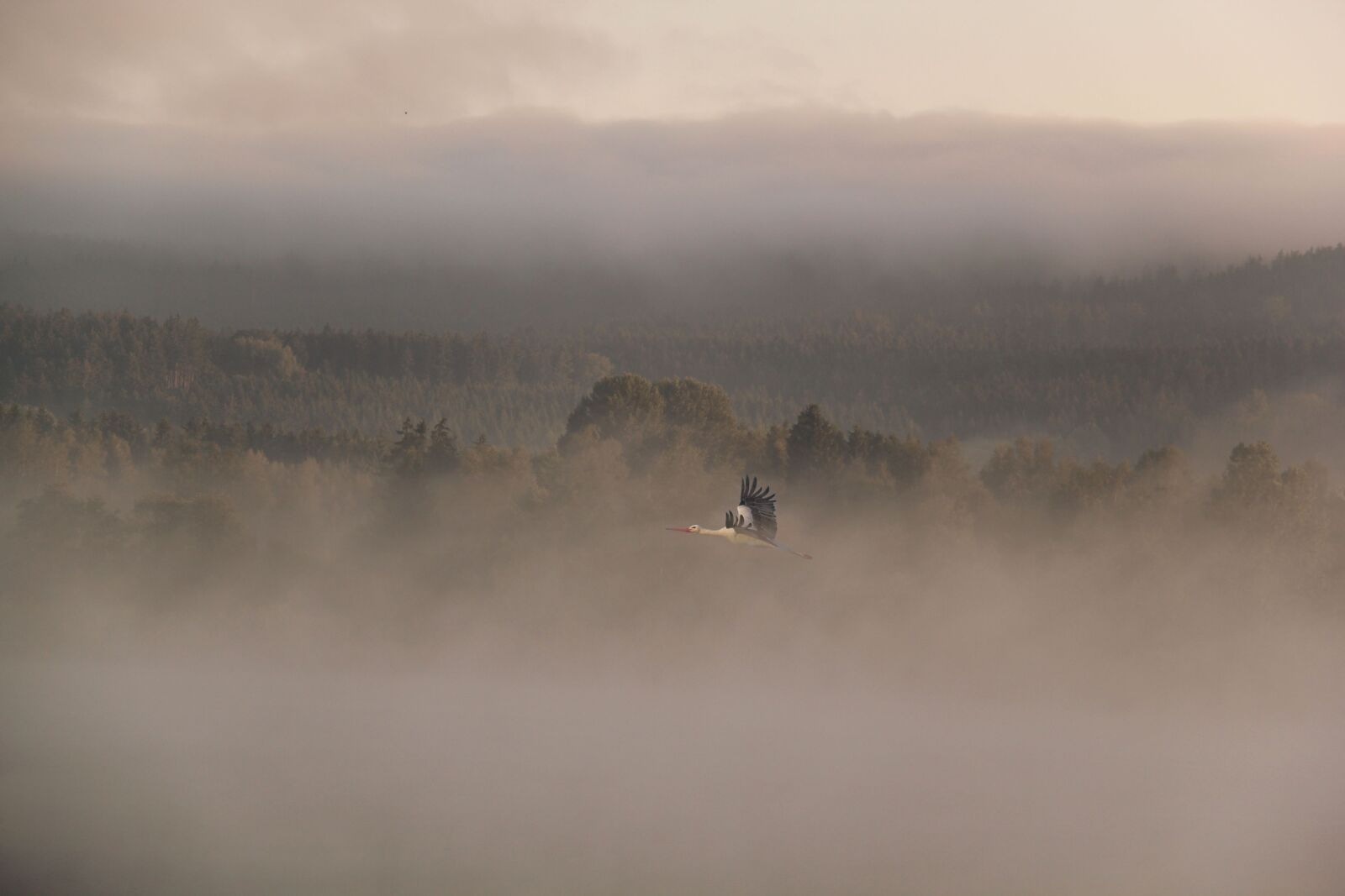 Canon EF-S 18-200mm F3.5-5.6 IS sample photo. Fog, landscape, dawn photography