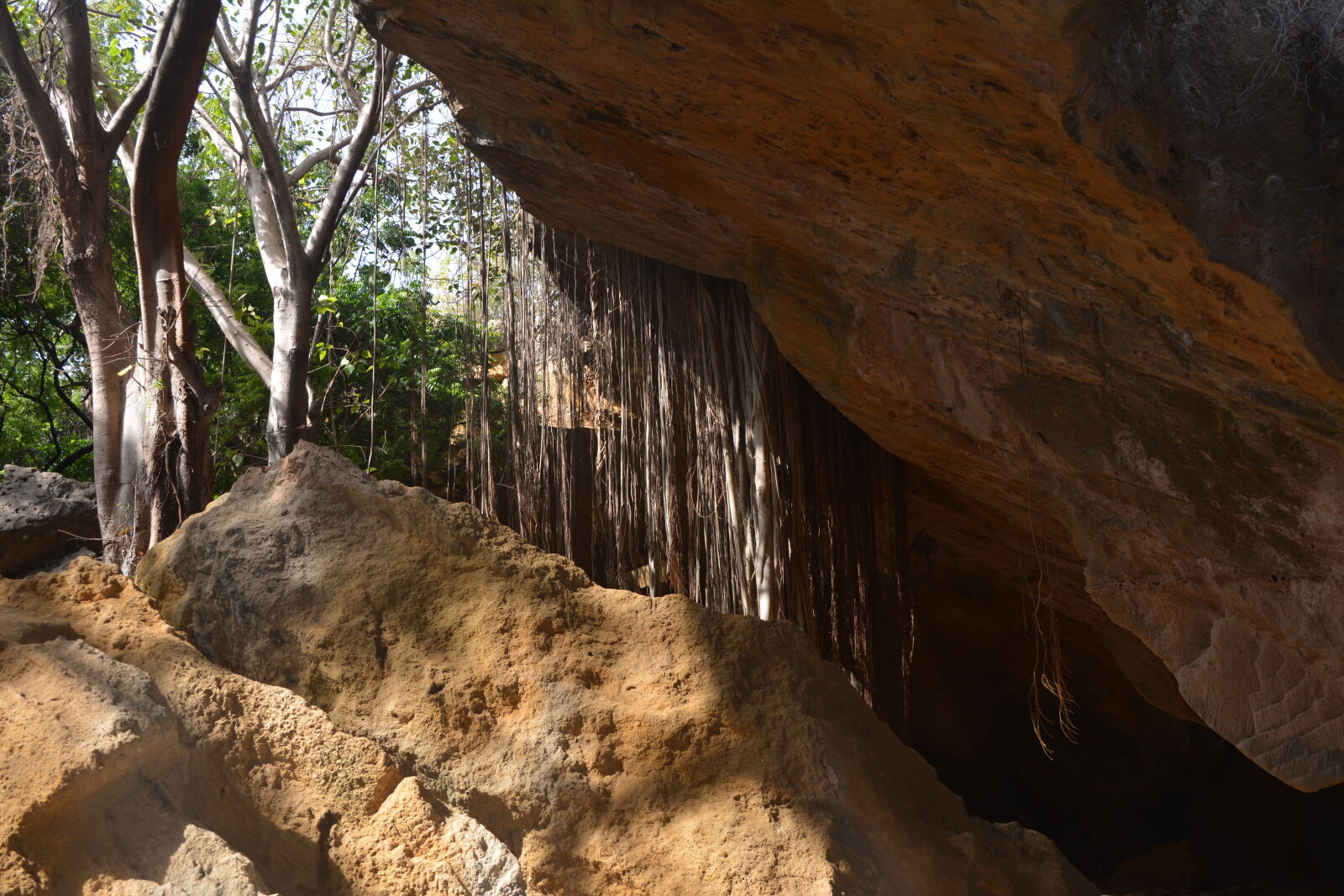 Nikon D5200 sample photo